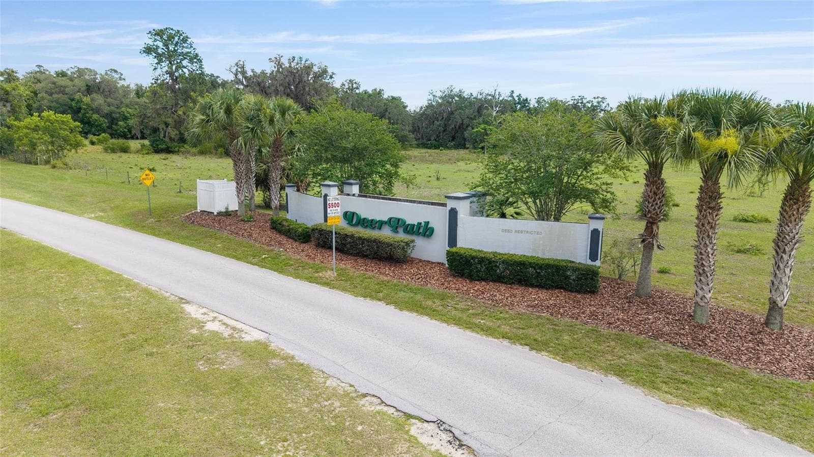 winding treed path - 915 SE 69TH AVE, OCALA