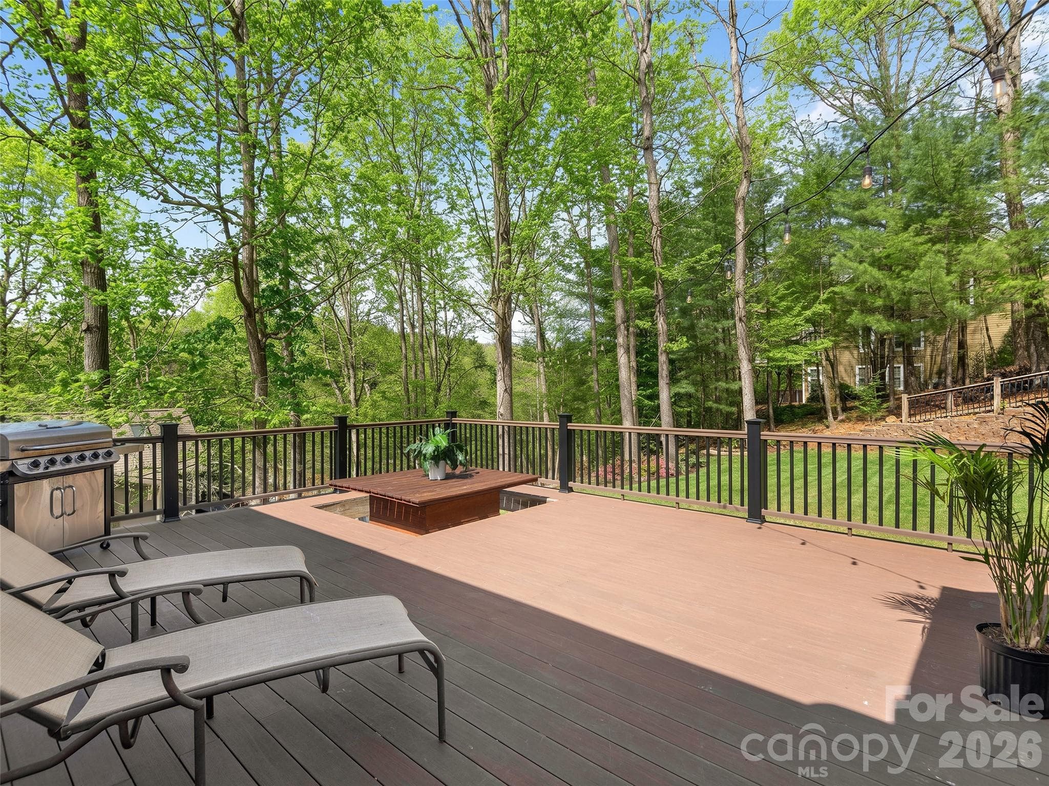 Single Family Residence at 21 Dianthus Drive, Asheville, photo 7 of 48