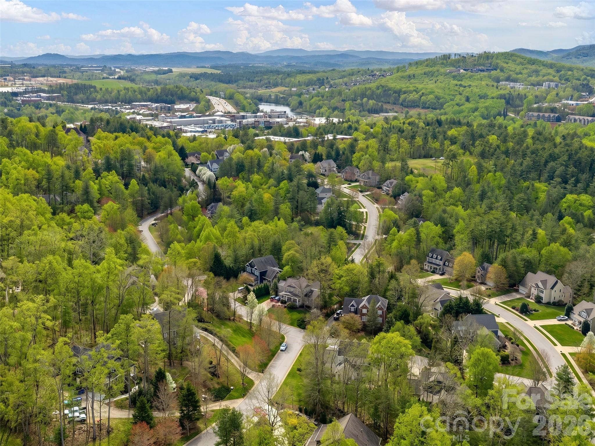 Single Family Residence at 21 Dianthus Drive, Asheville, photo 43 of 48