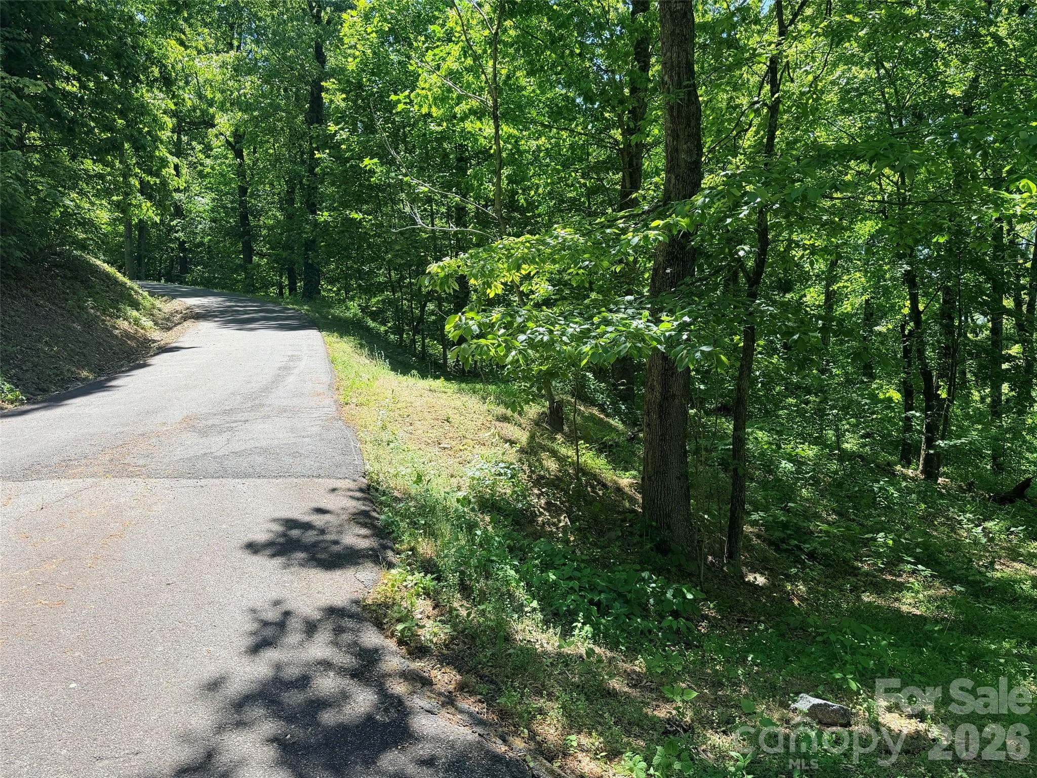 Acreage at Black Mountain, photo 12 of 12
