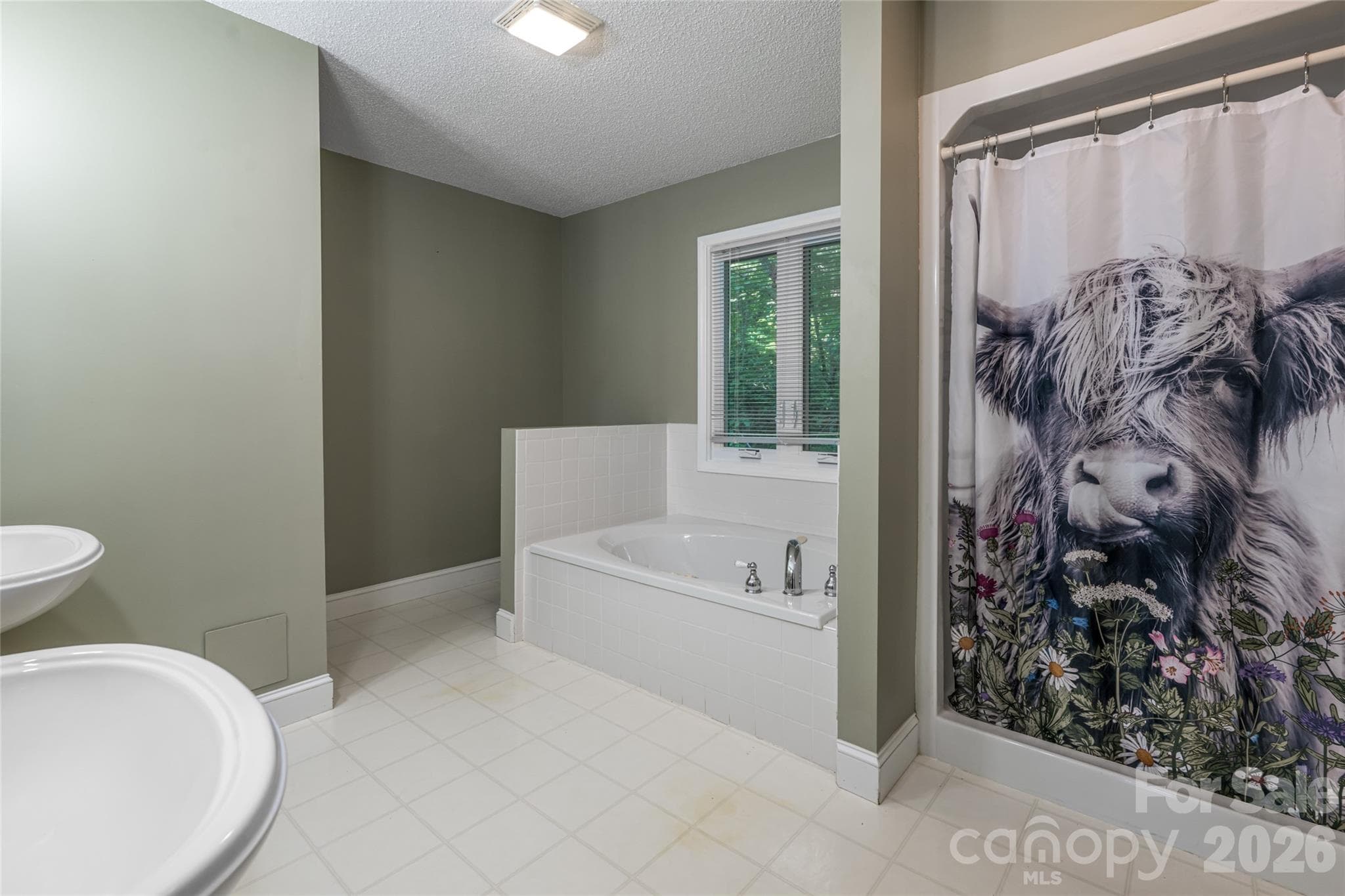 Single Family Residence at 7 Timber Park Drive, Black Mountain, photo 32 of 39