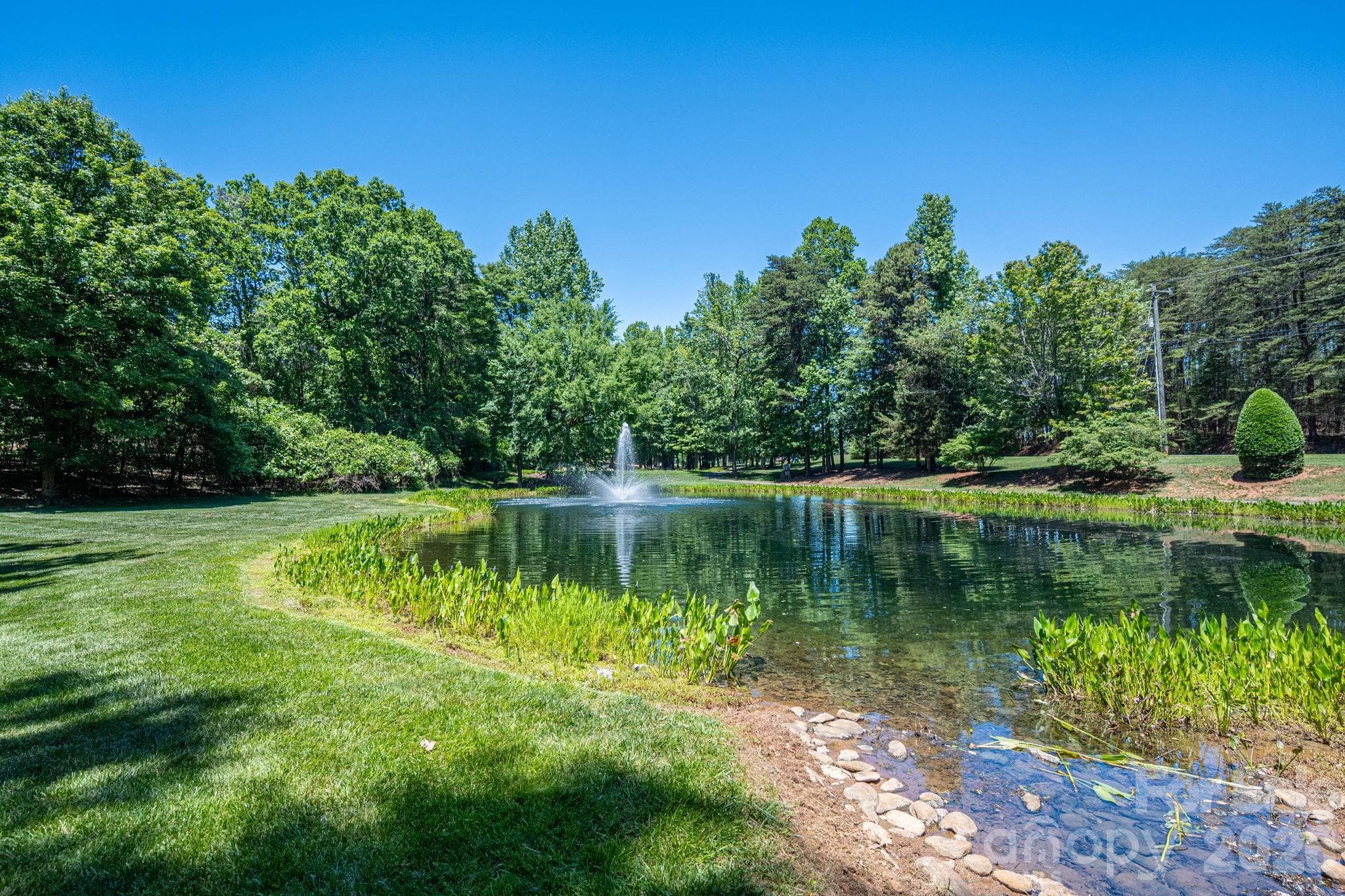 Lot at Belmont, photo 10 of 31