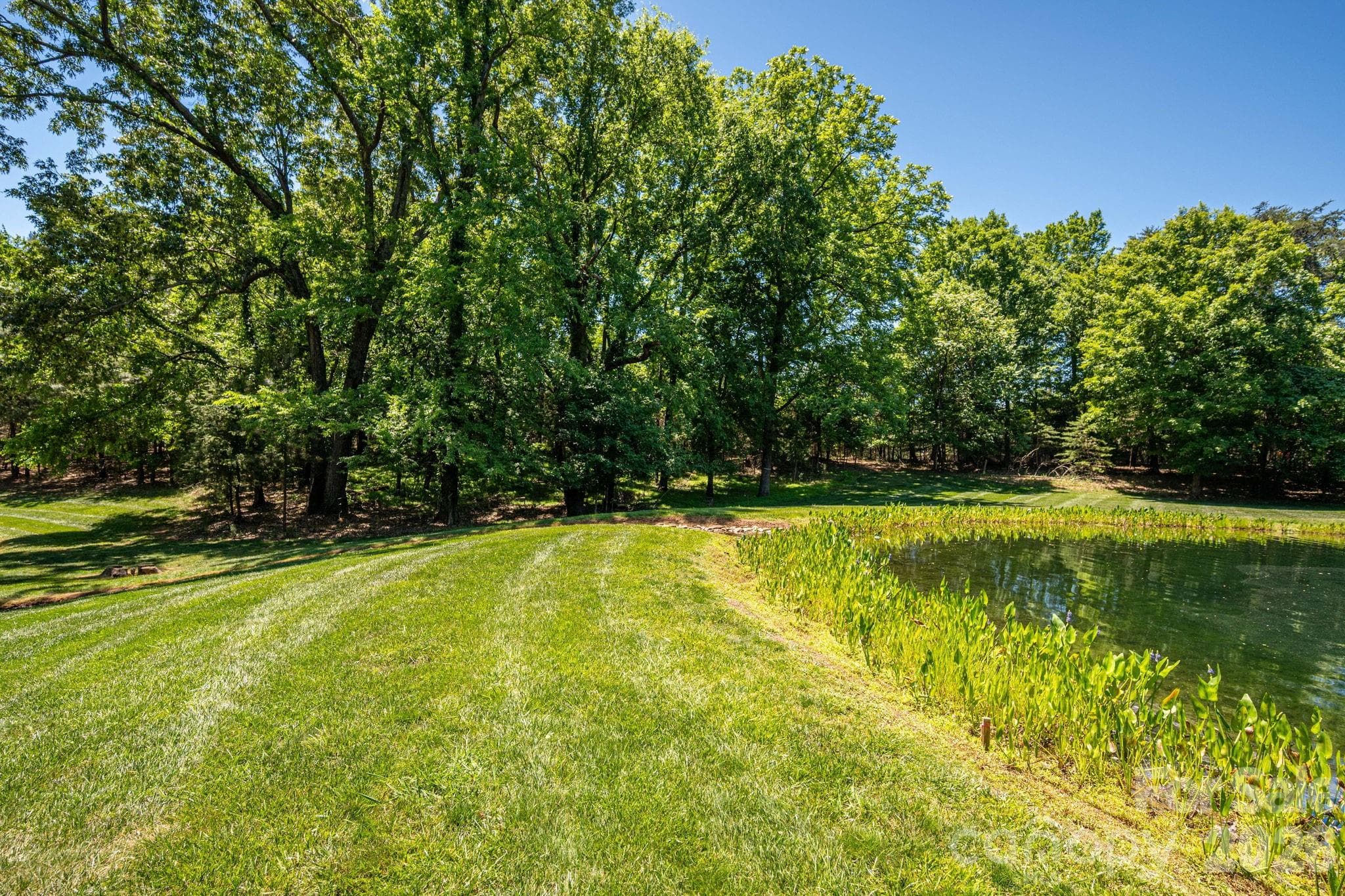 Lot at 1116 Verdant Ridge Circle, Belmont, photo 11 of 31