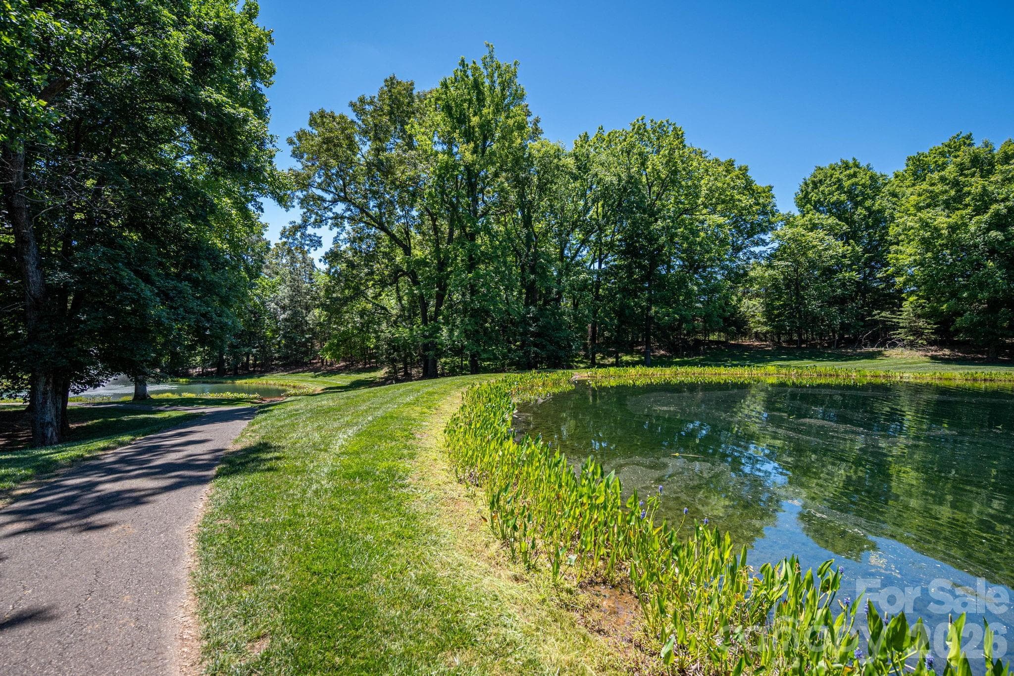Lot at 1116 Verdant Ridge Circle, Belmont, photo 12 of 31