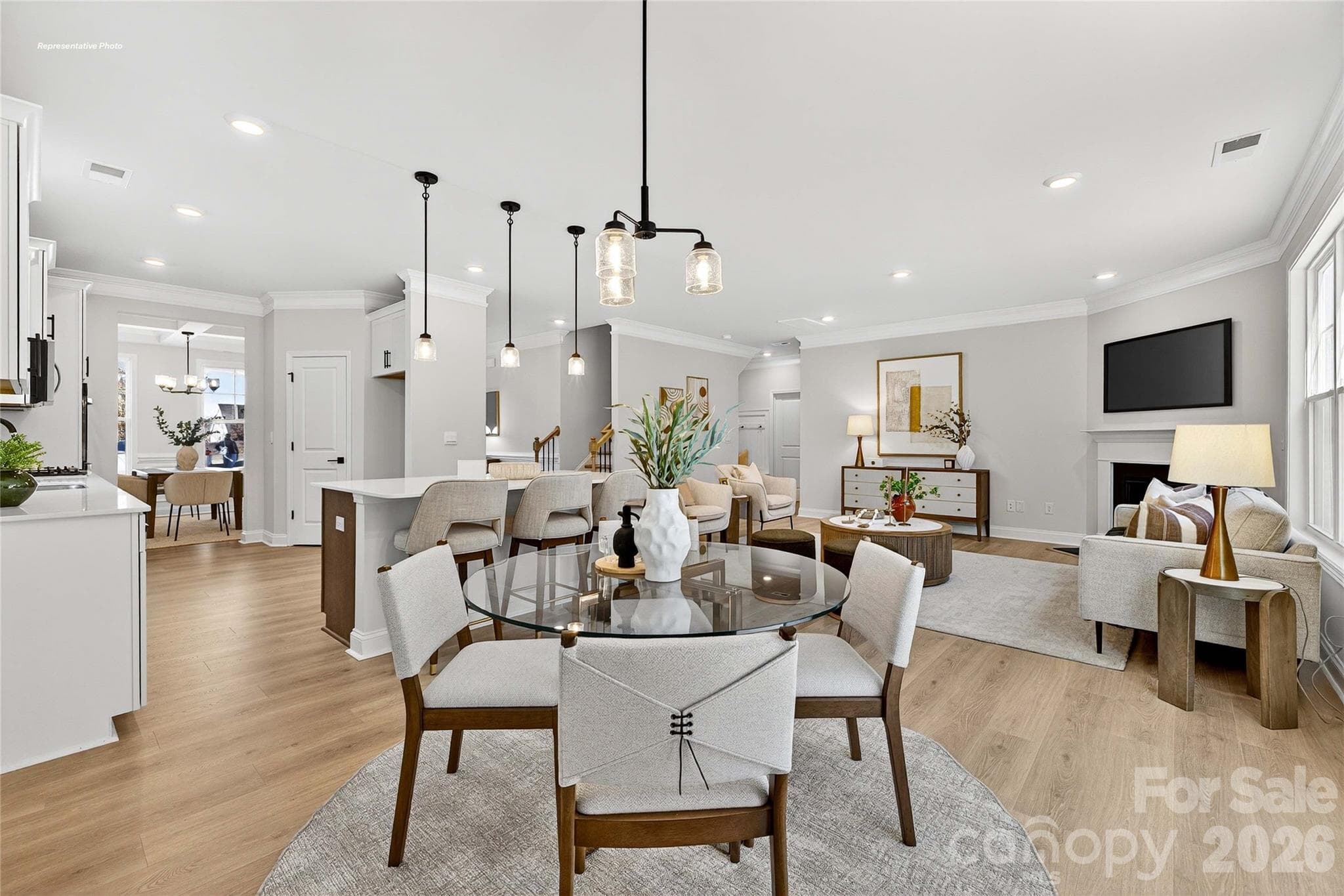 Single Family Residence at 1044 Tundra Swan Drive, Indian Trail, photo 10 of 31