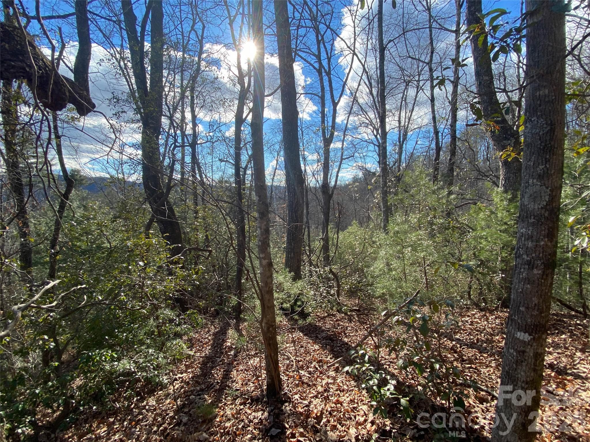 Lot at 999 High Point Trail, Brevard, photo 2 of 22