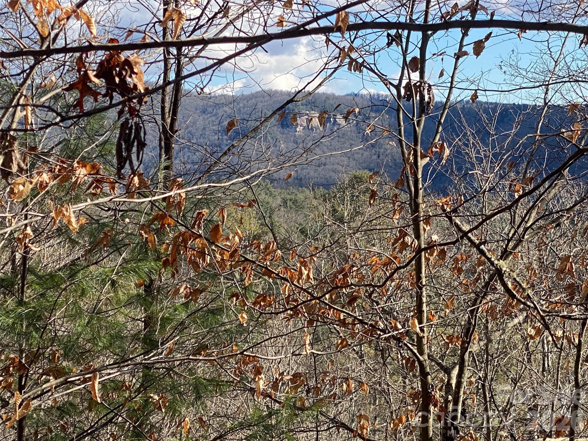 Lot at 999 High Point Trail, Brevard, photo 5 of 22