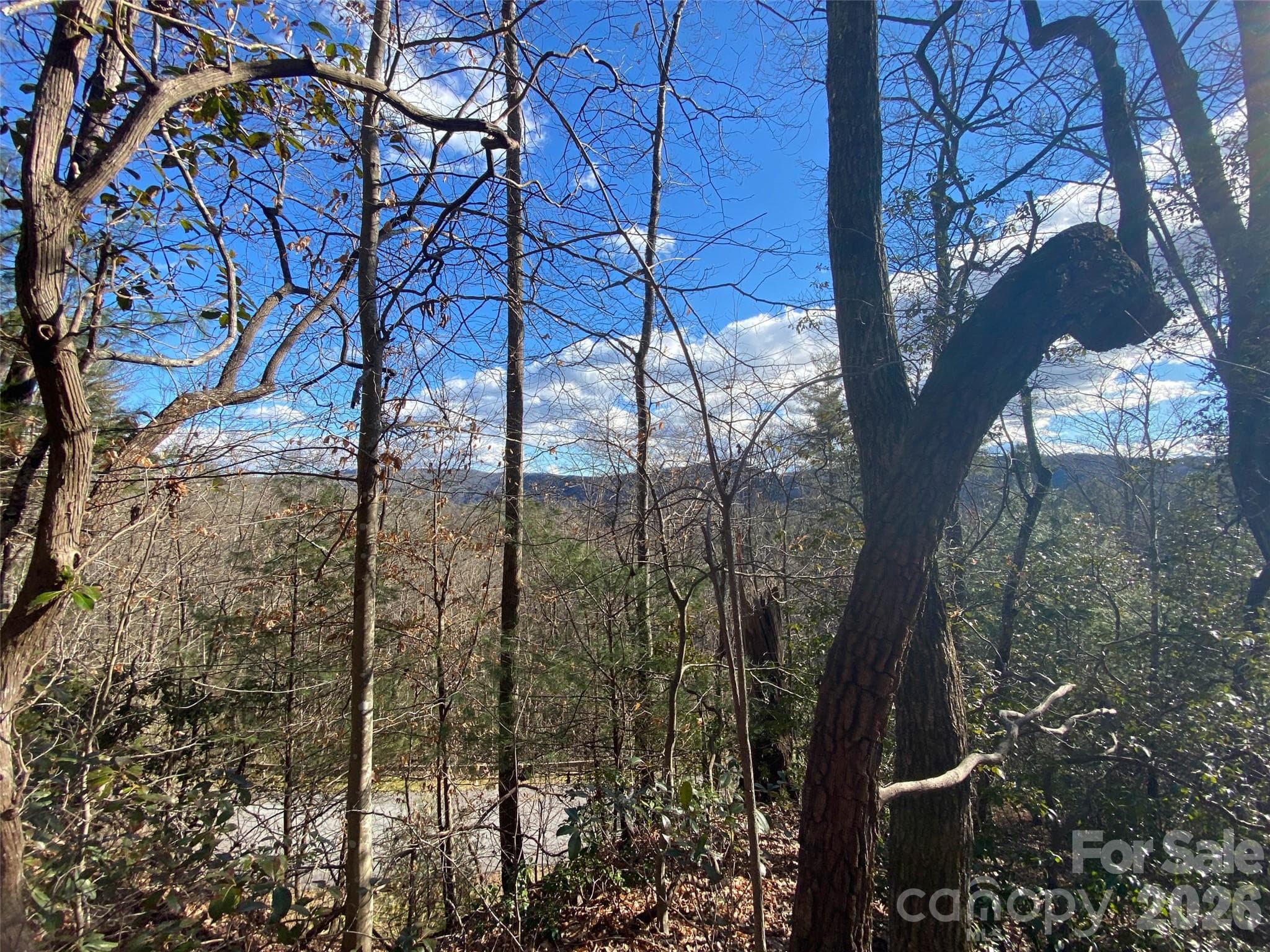Lot at 999 High Point Trail, Brevard, photo 6 of 22