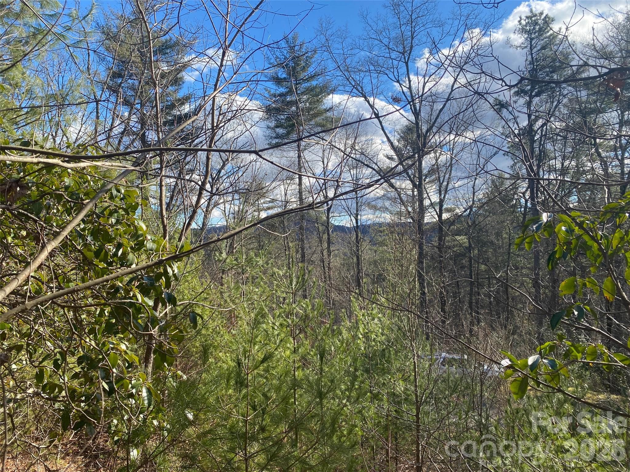 Lot at 999 High Point Trail, Brevard, photo 8 of 22