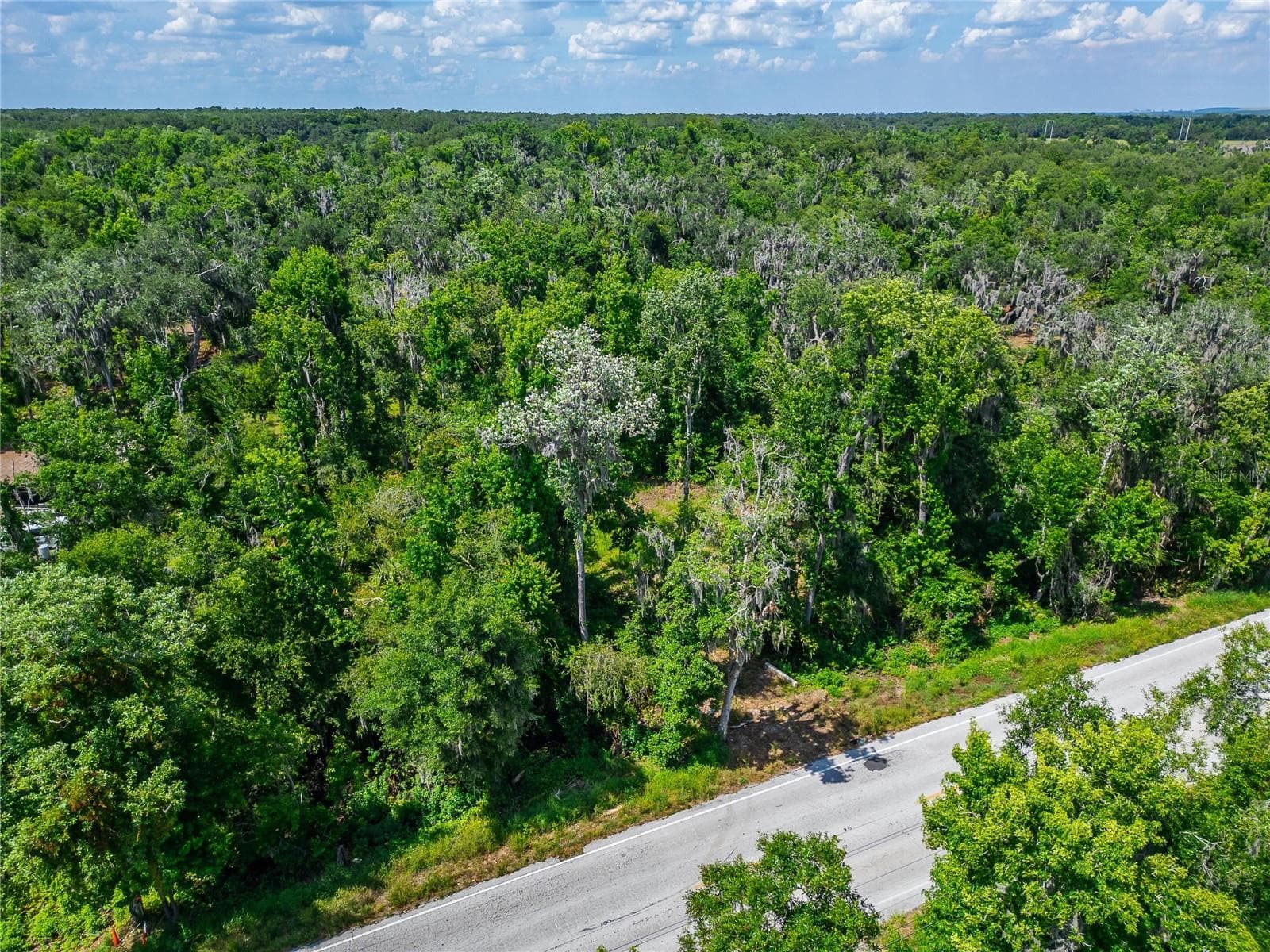 Land at 672 HWY, LITHIA, photo 5 of 24