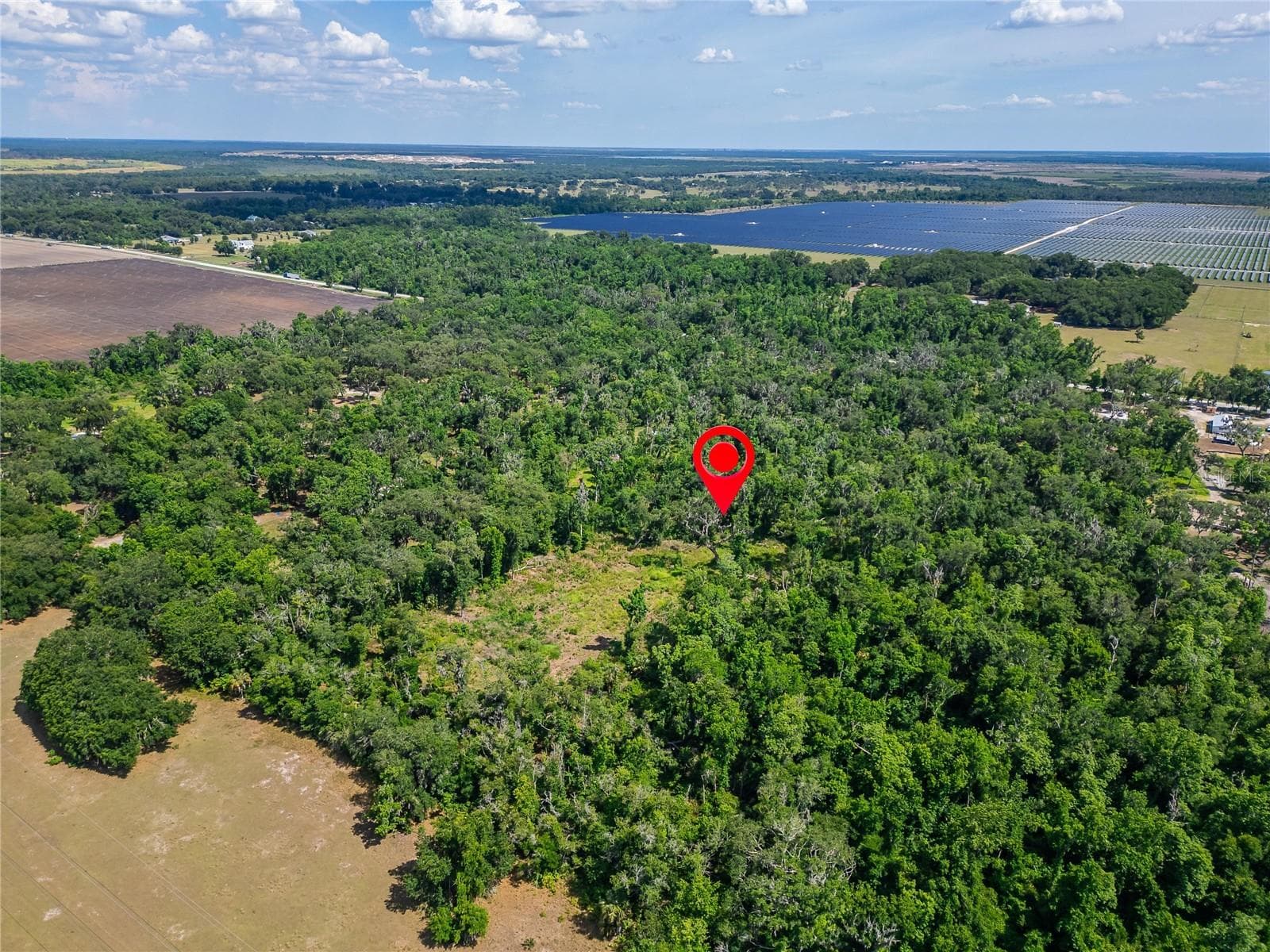 Land at 672 HWY, LITHIA, photo 11 of 24