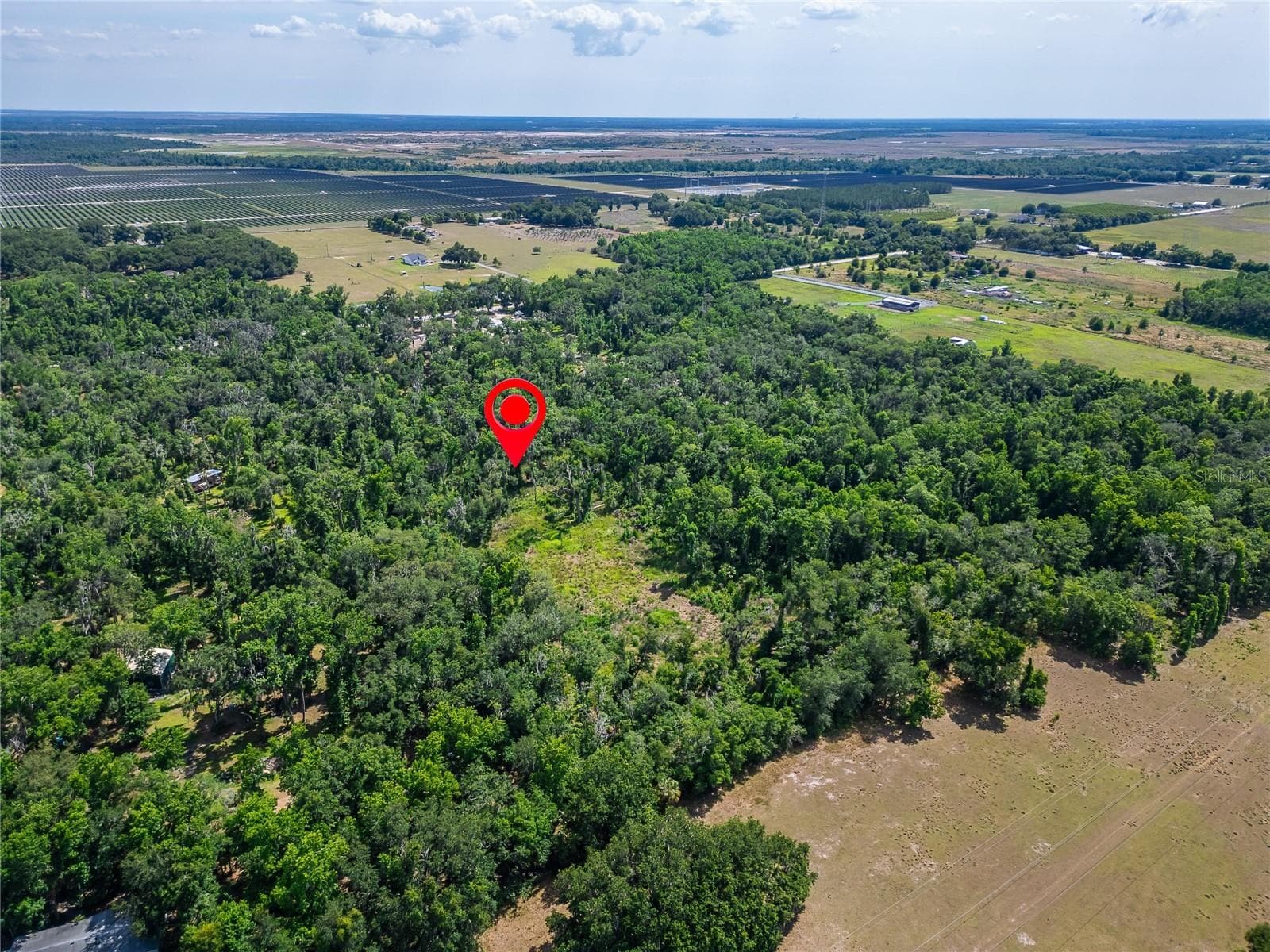 Land at 672 HWY, LITHIA, photo 13 of 24