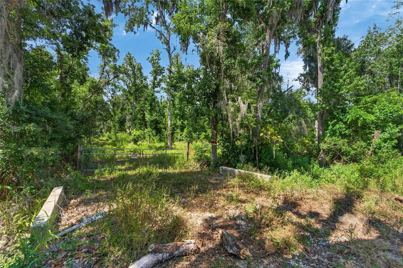 Land at 672 HWY, LITHIA, photo 15 of 24