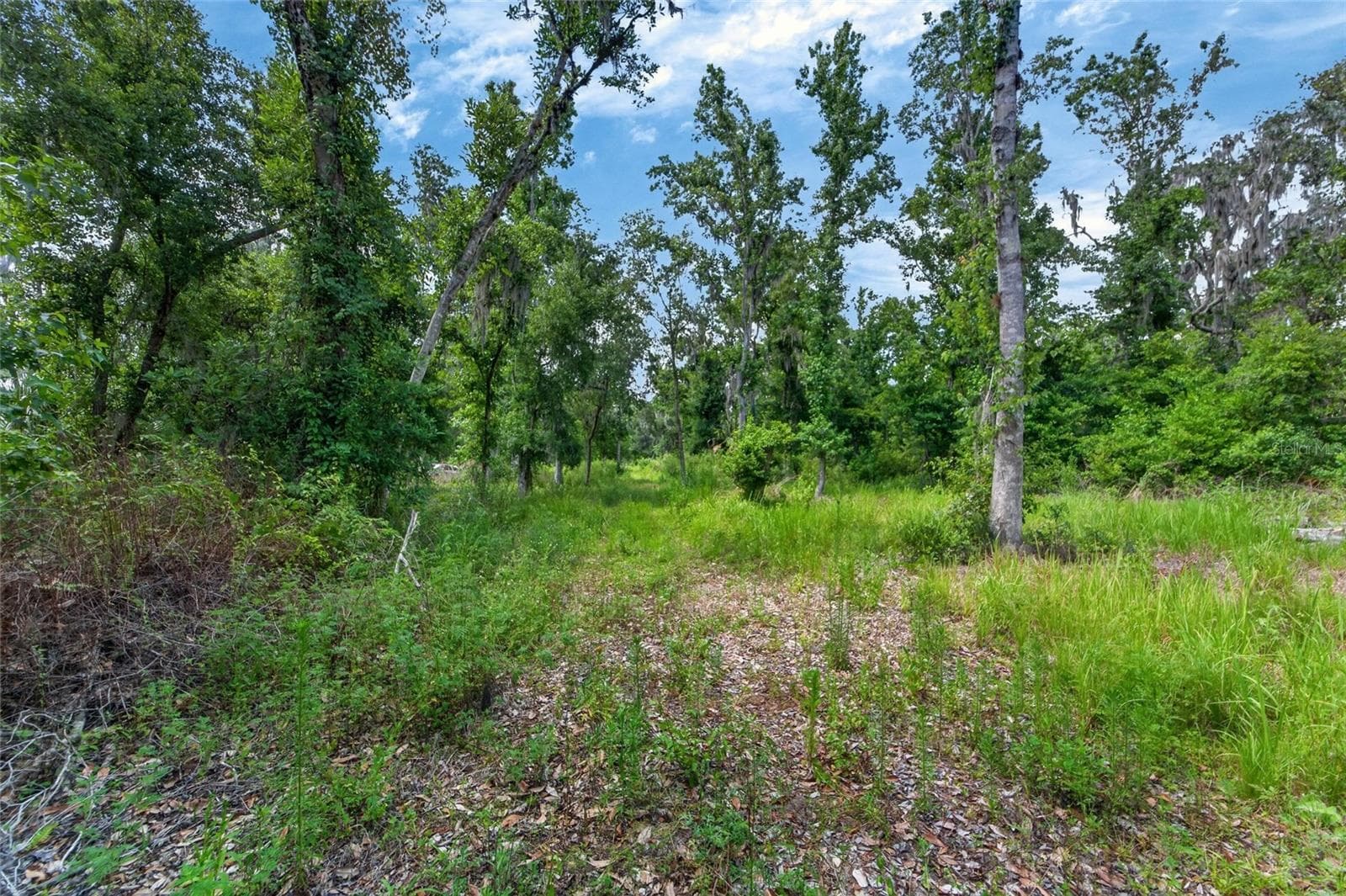 Land at 672 HWY, LITHIA, photo 16 of 24
