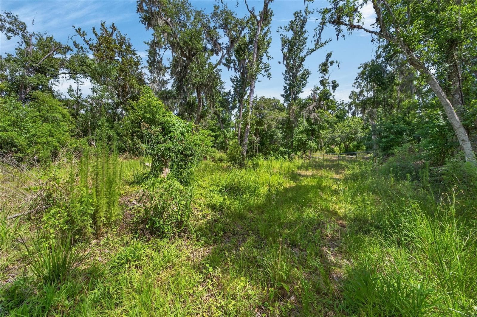 Land at 672 HWY, LITHIA, photo 17 of 24