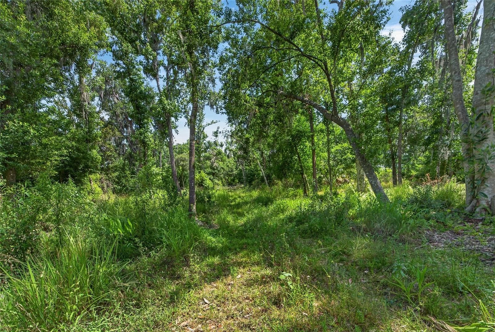 Land at 672 HWY, LITHIA, photo 18 of 24