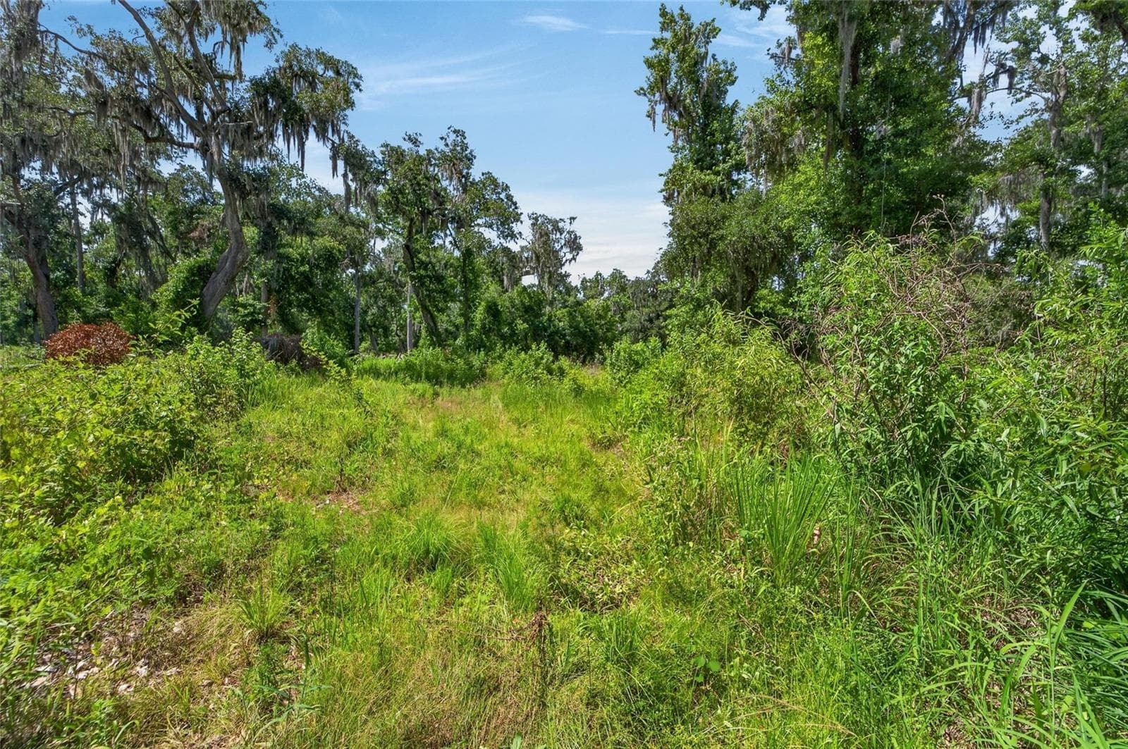 Land at 672 HWY, LITHIA, photo 19 of 24
