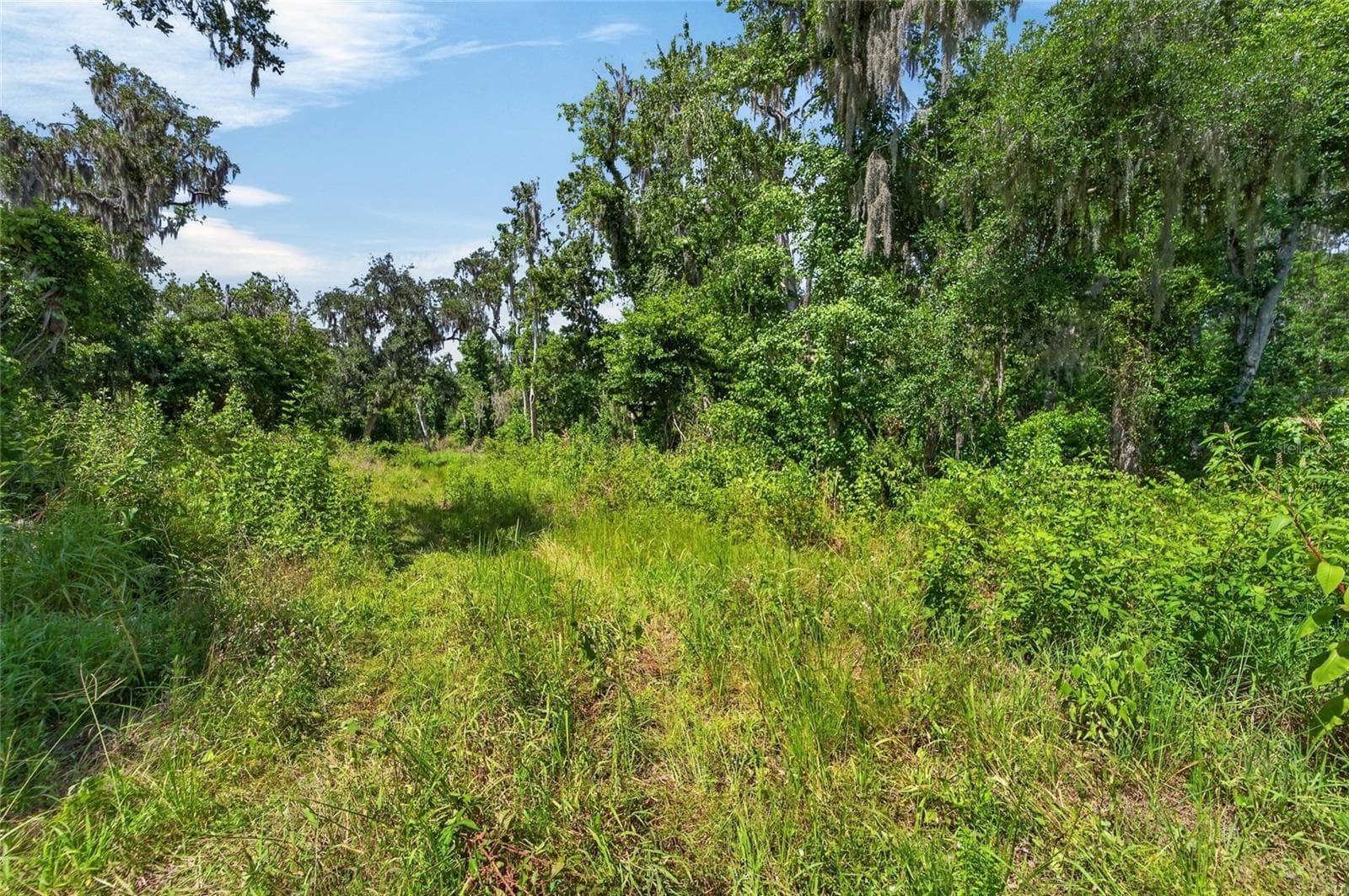 Land at 672 HWY, LITHIA, photo 20 of 24