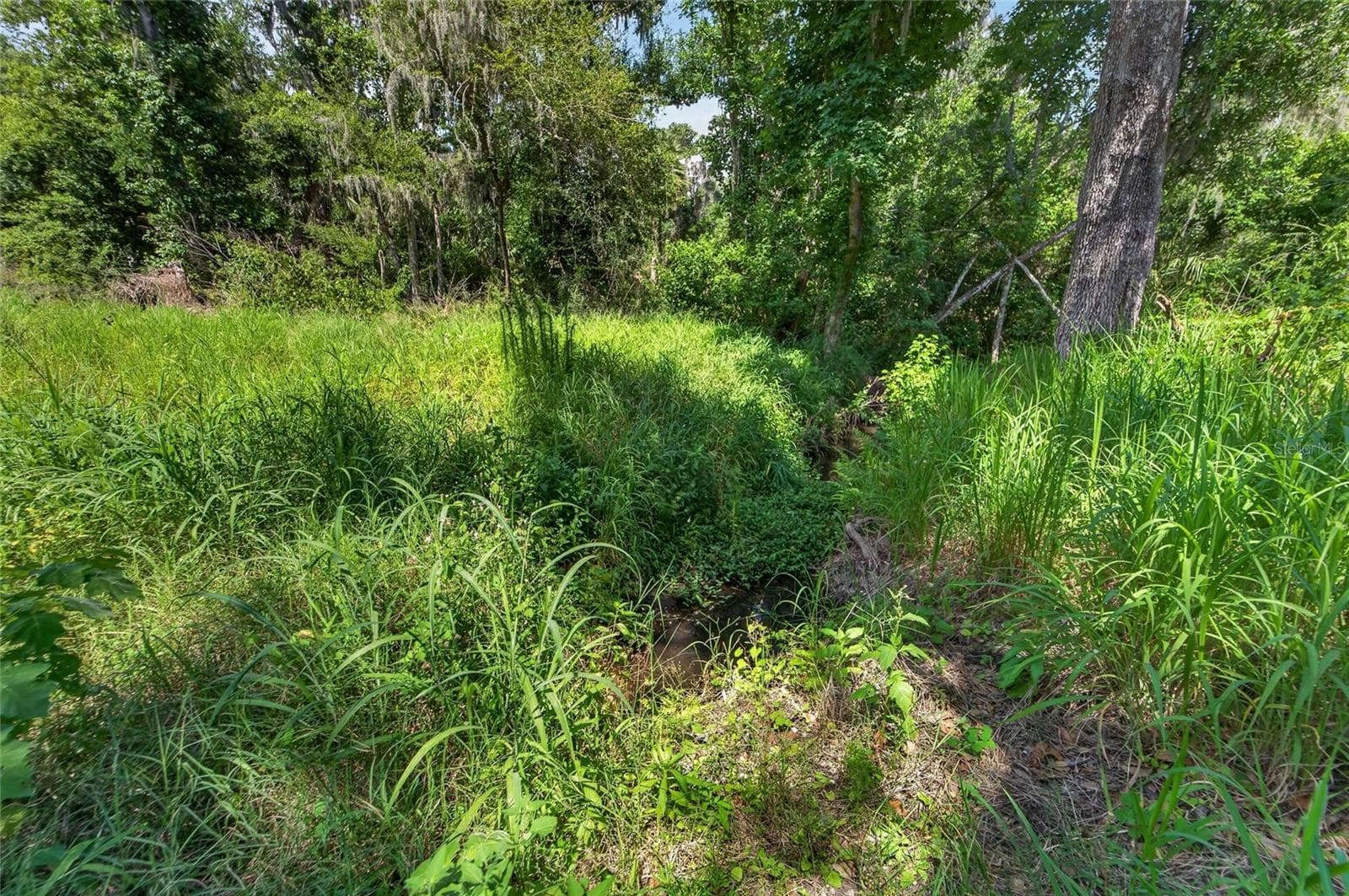 Land at 672 HWY, LITHIA, photo 21 of 24