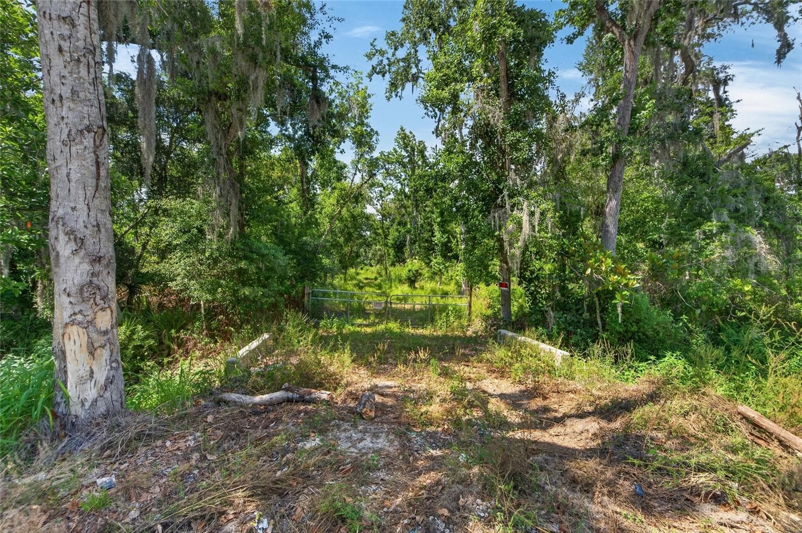 Land at 672 HWY, LITHIA, photo 22 of 24