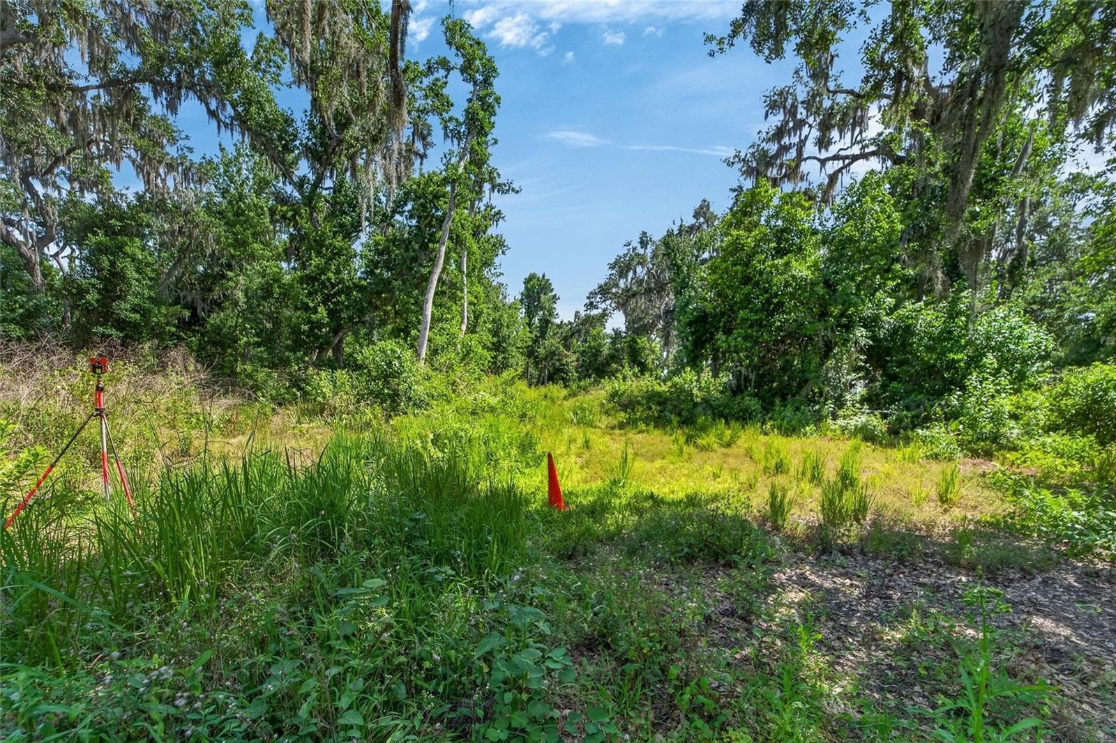 Land at 672 HWY, LITHIA, photo 23 of 24