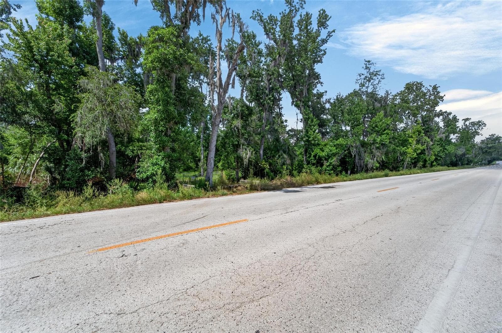 Land at 672 HWY, LITHIA, photo 24 of 24