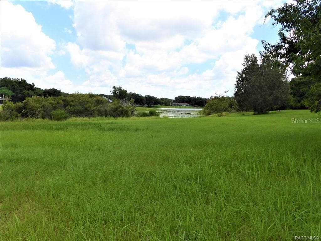 Land at 9546 E BAYMEADOWS DR, INVERNESS, photo 2 of 5