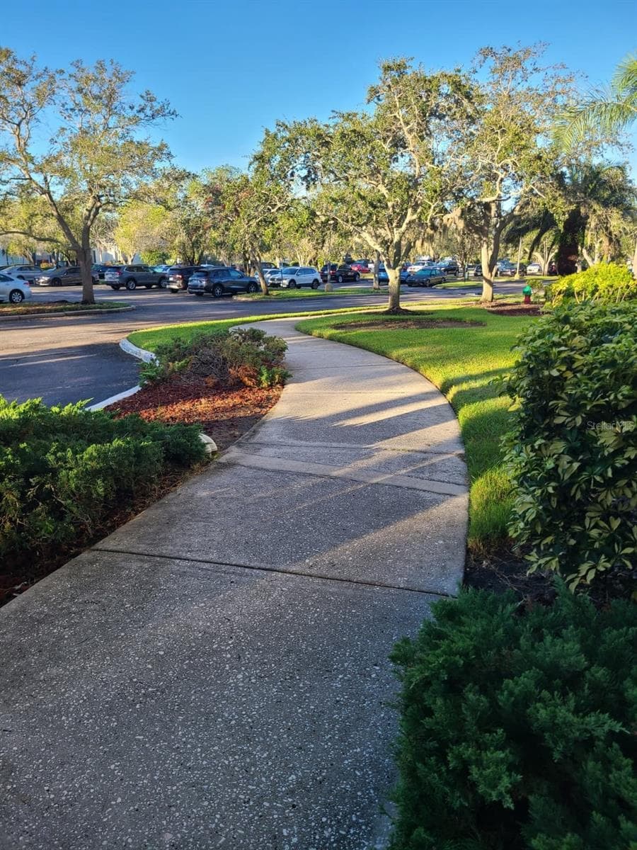 Mature landscaping - 2333 FEATHER SOUND DR #A208, CLEARWATER