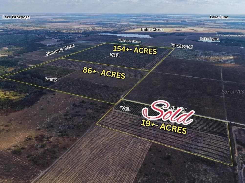 Land at 8923 + 6611 E TWITTY RD, SEBRING, photo 10 of 10
