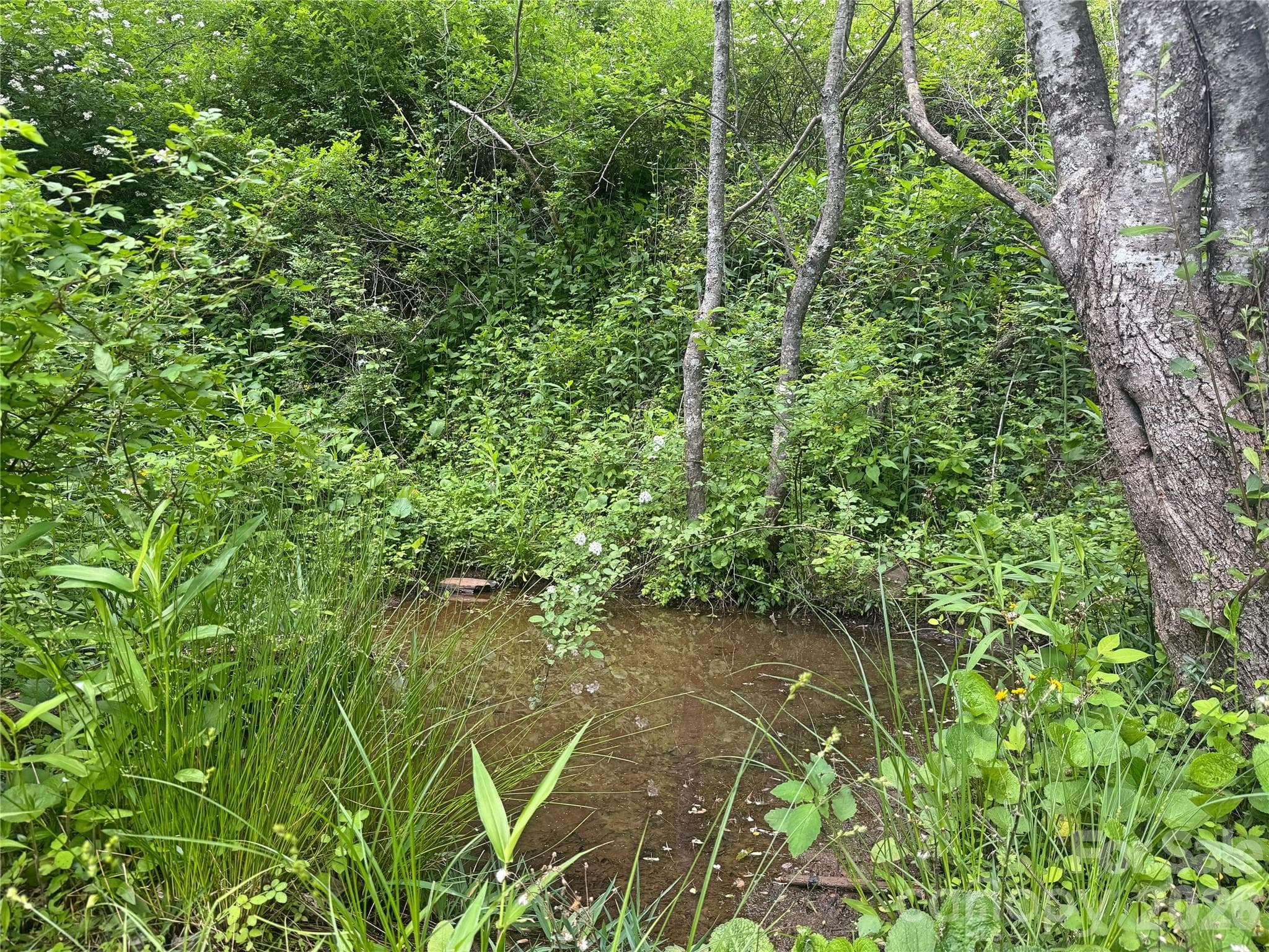 Acreage at Bakersville, photo 6 of 16