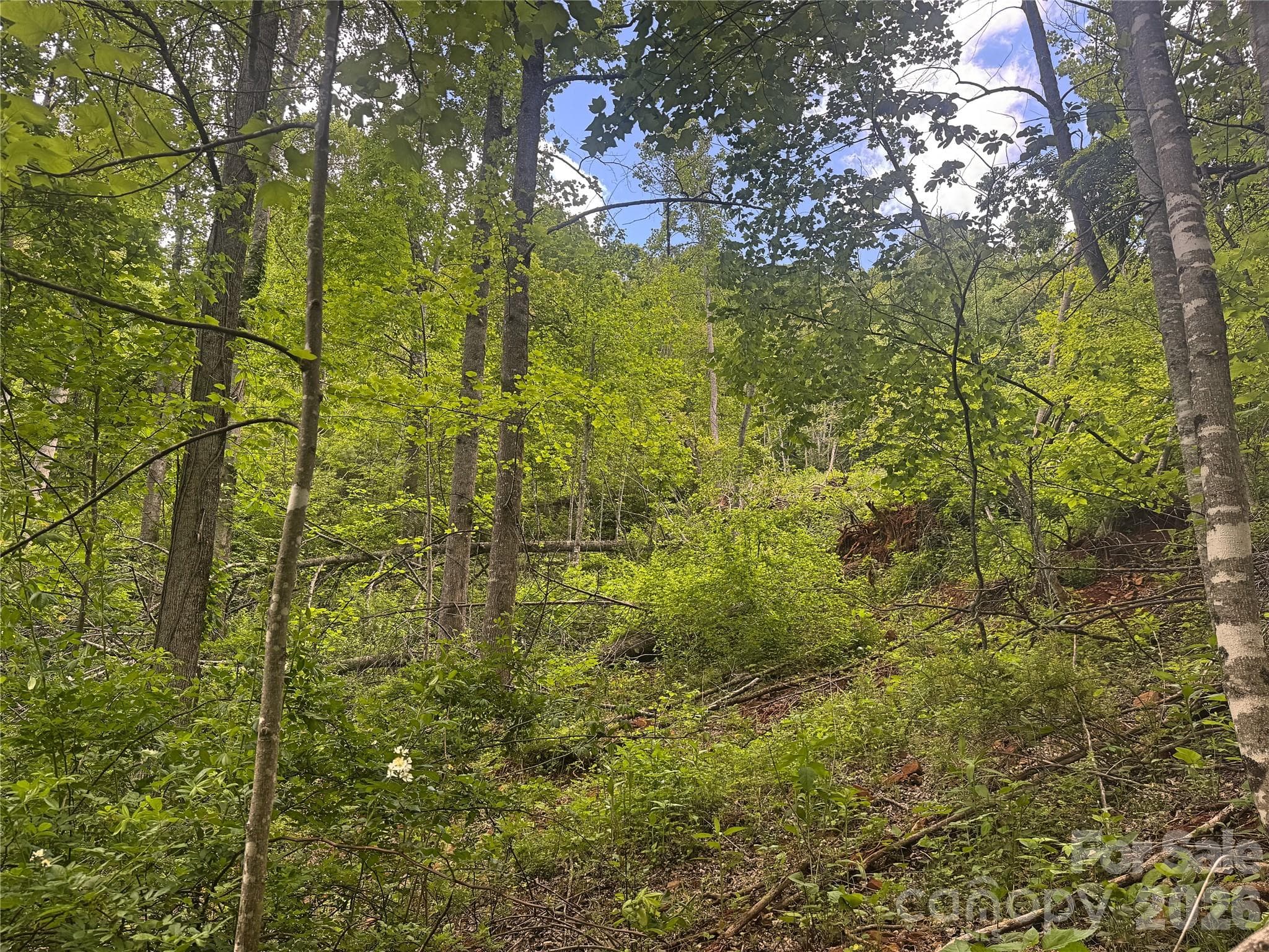 Acreage at V/L Wolf Crossing, Bakersville, photo 8 of 16