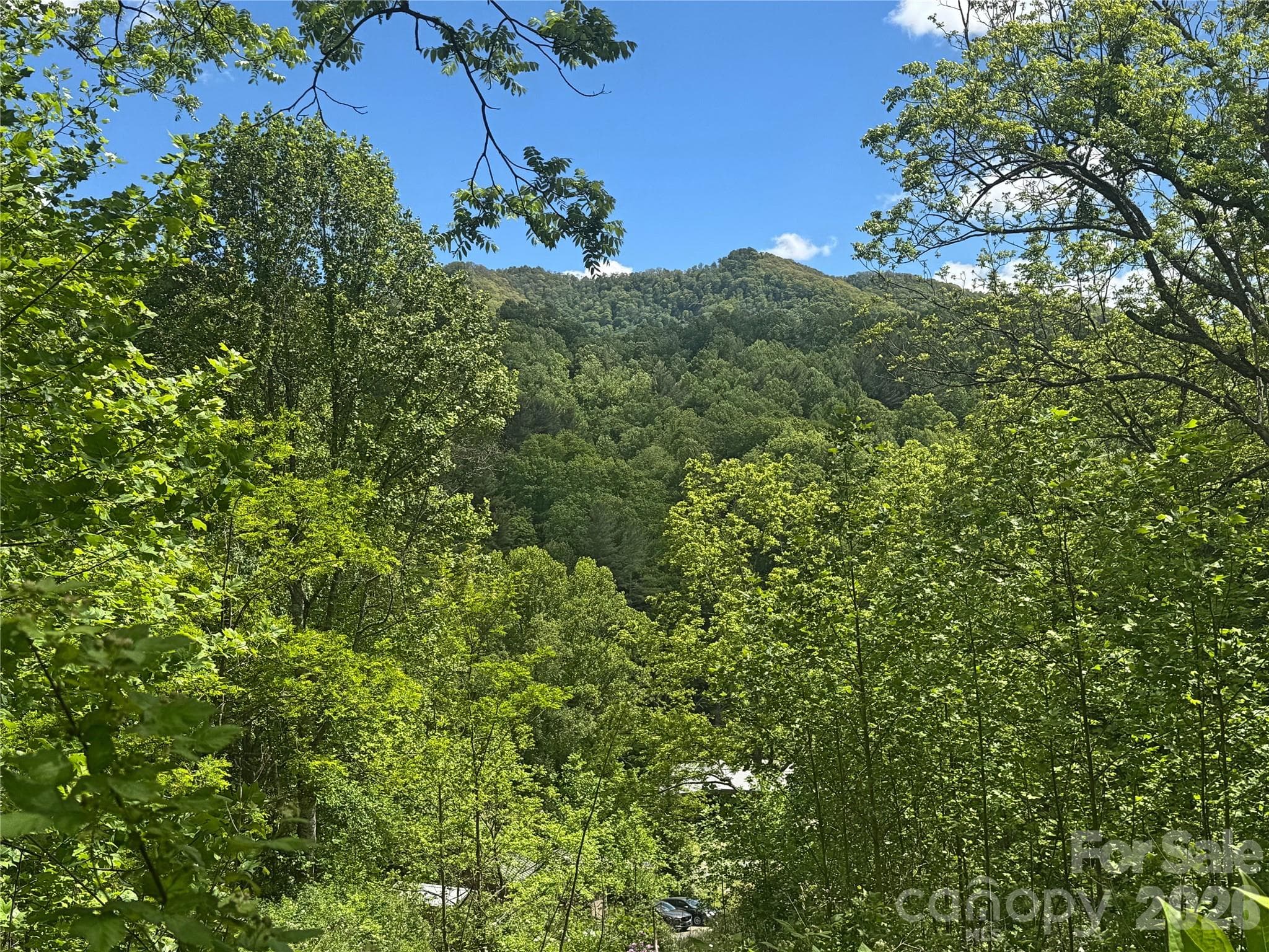 Acreage at V/L Wolf Crossing, Bakersville, photo 9 of 16