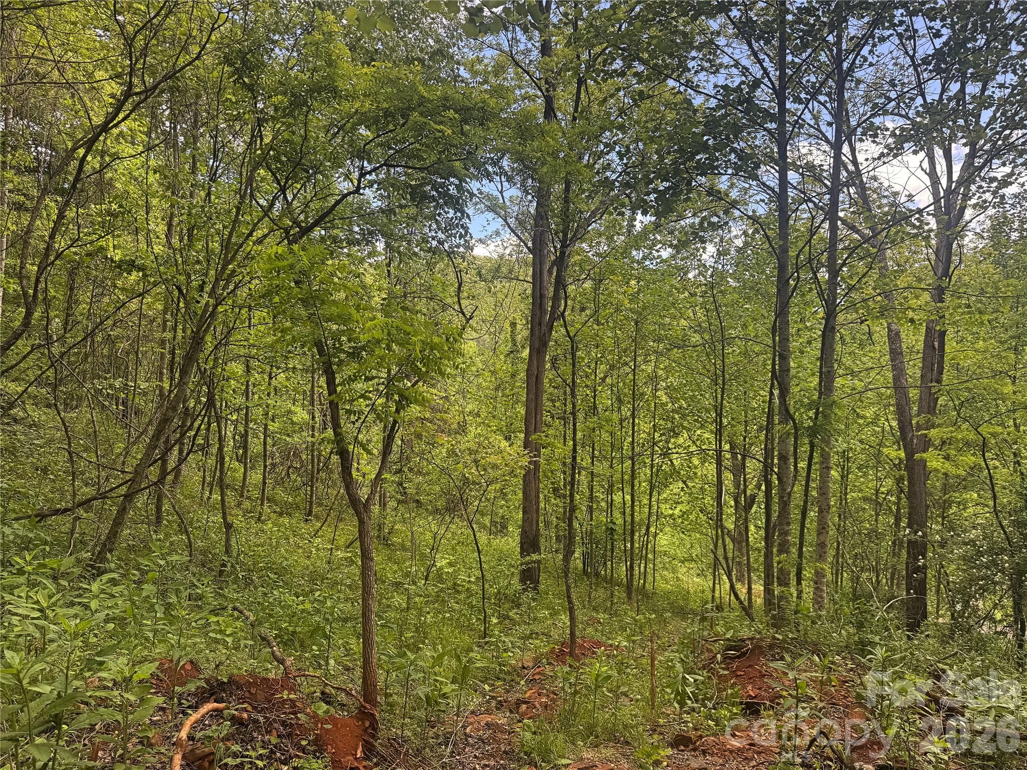 Acreage at V/L Wolf Crossing, Bakersville, photo 10 of 16