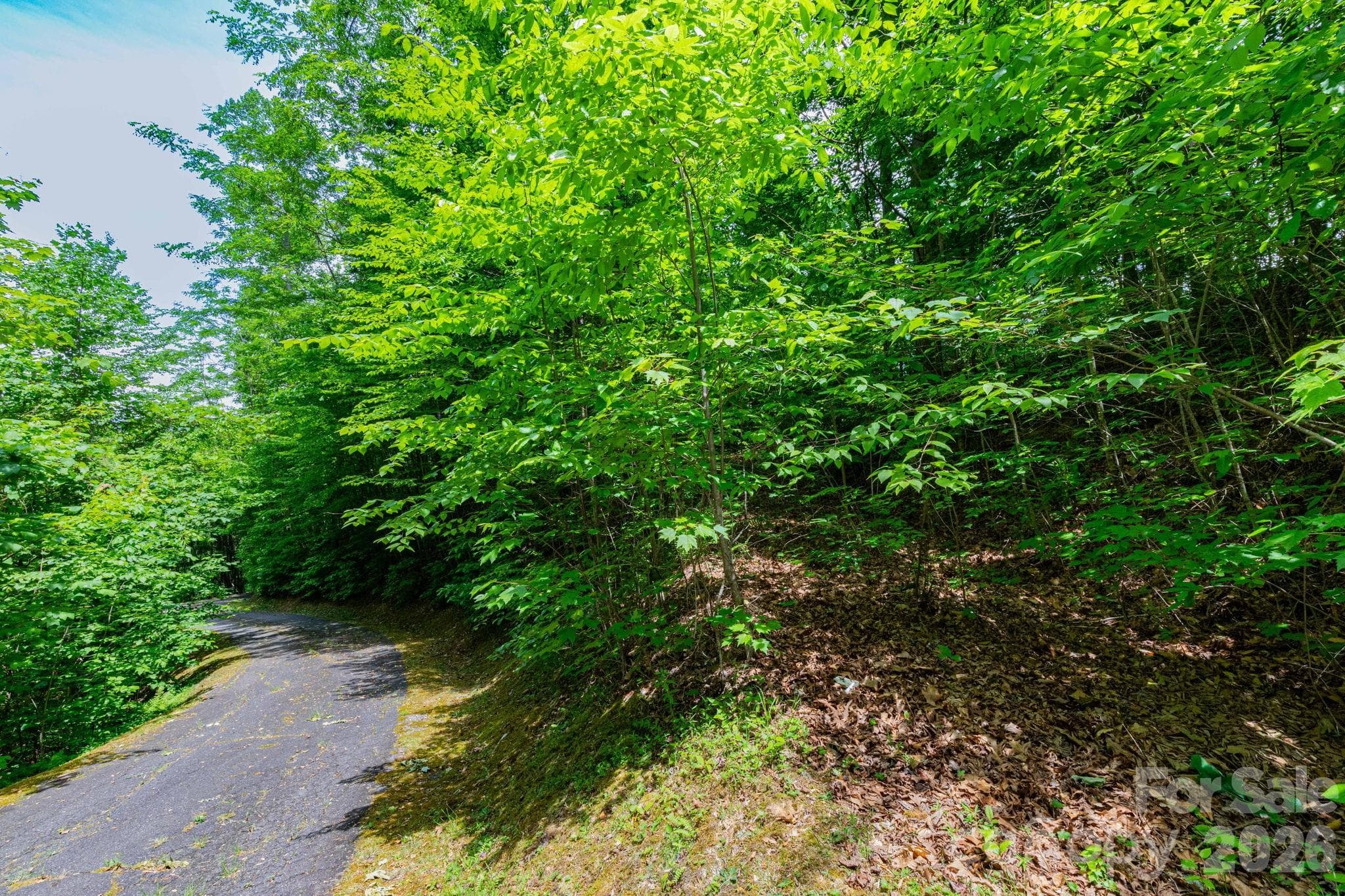 Lot at 46 Widgeon Way, Whittier, photo 3 of 7