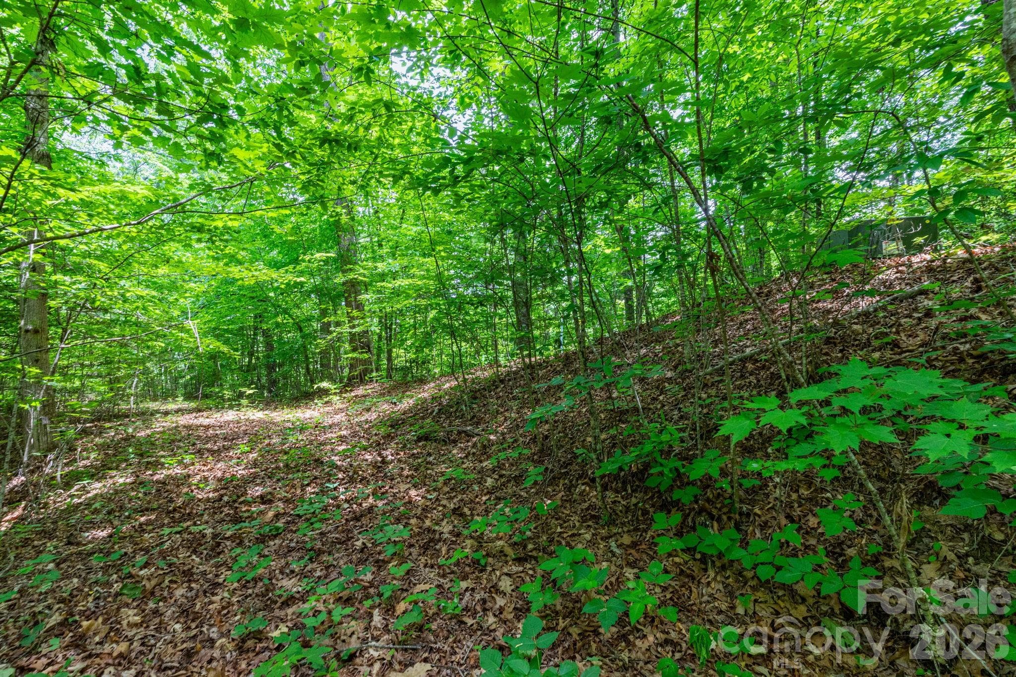 Lot at 46 Widgeon Way, Whittier, photo 4 of 7