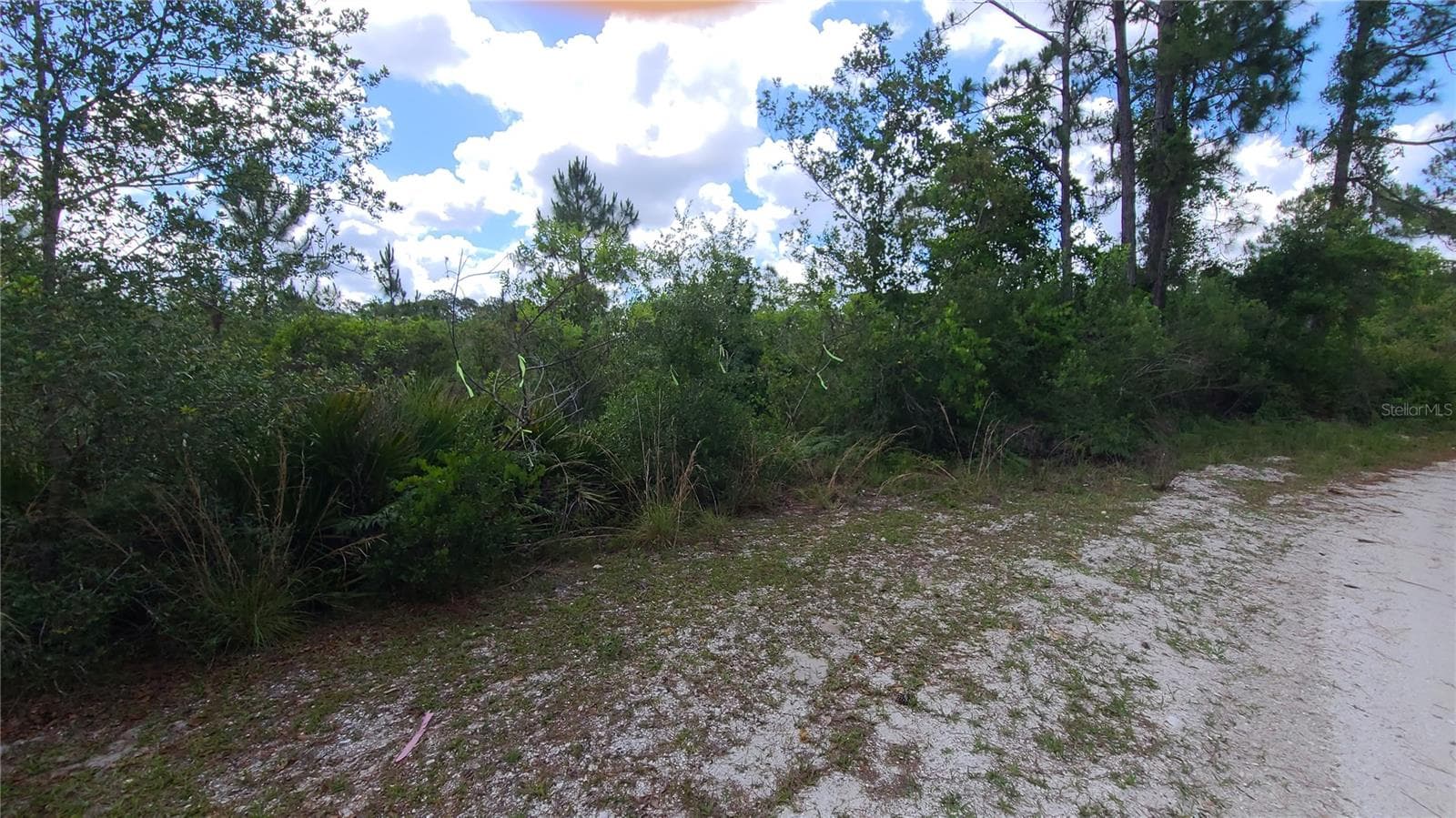 Land at 2575 BEAR RUN S, FROSTPROOF, photo 6 of 27
