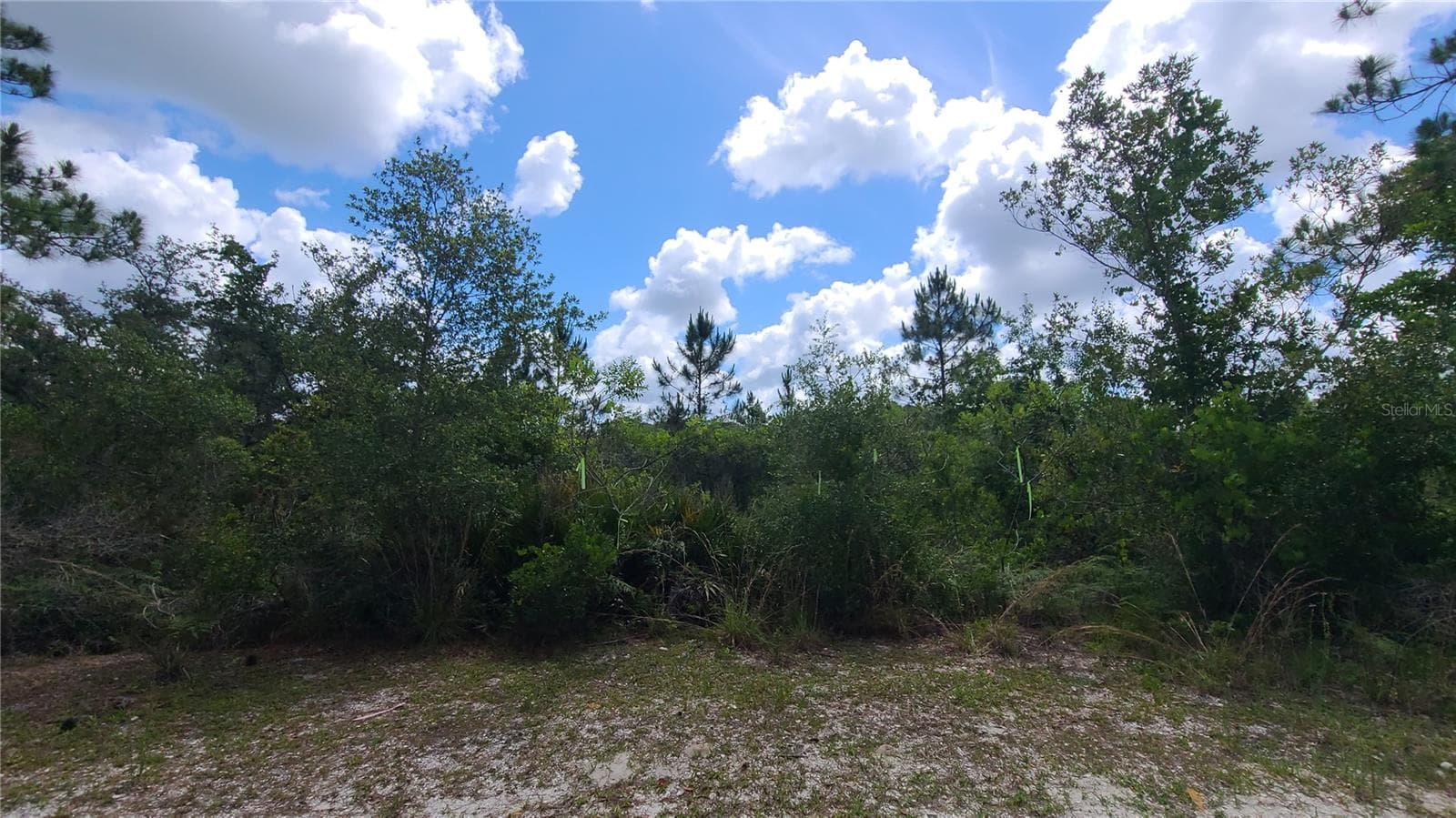 Land at 2575 BEAR RUN S, FROSTPROOF, photo 11 of 27