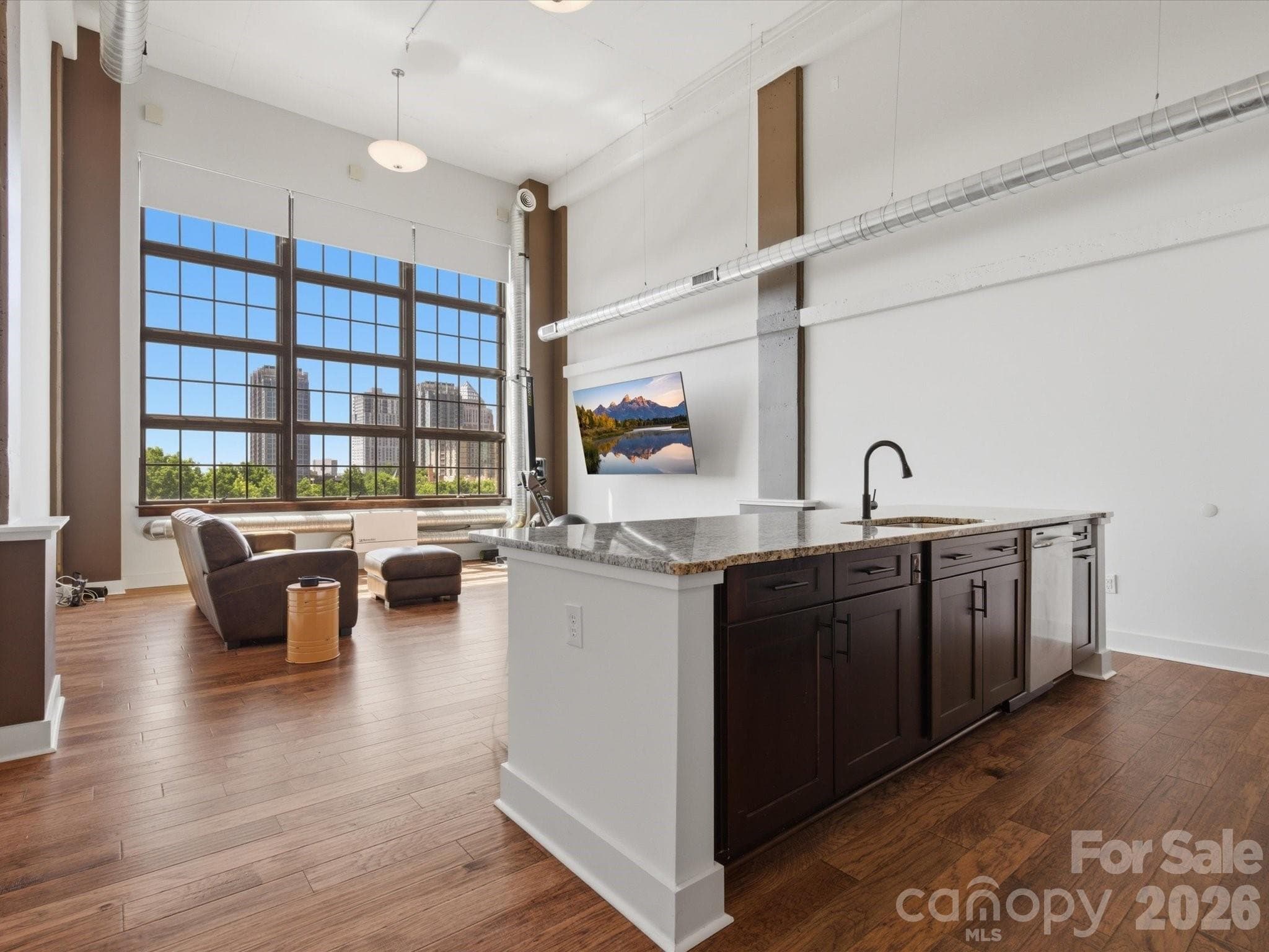 Skyline views from your living room and kitchen - Charlotte