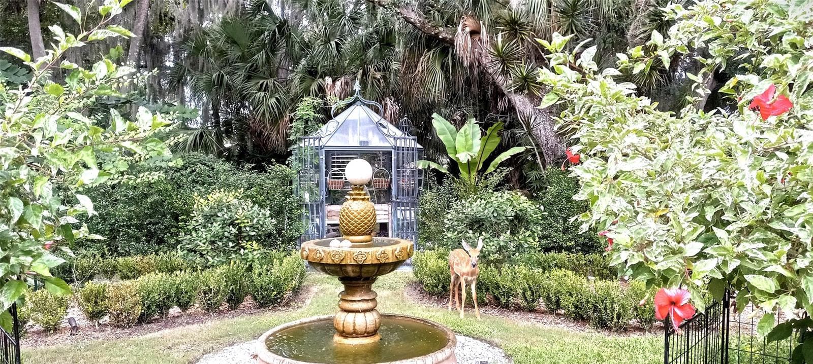 Deer love to visit this Garden. Fruit Tree's include Fig, Plum, Pink Lime, Lychee - 3171 DICK WILSON DR, SARASOTA