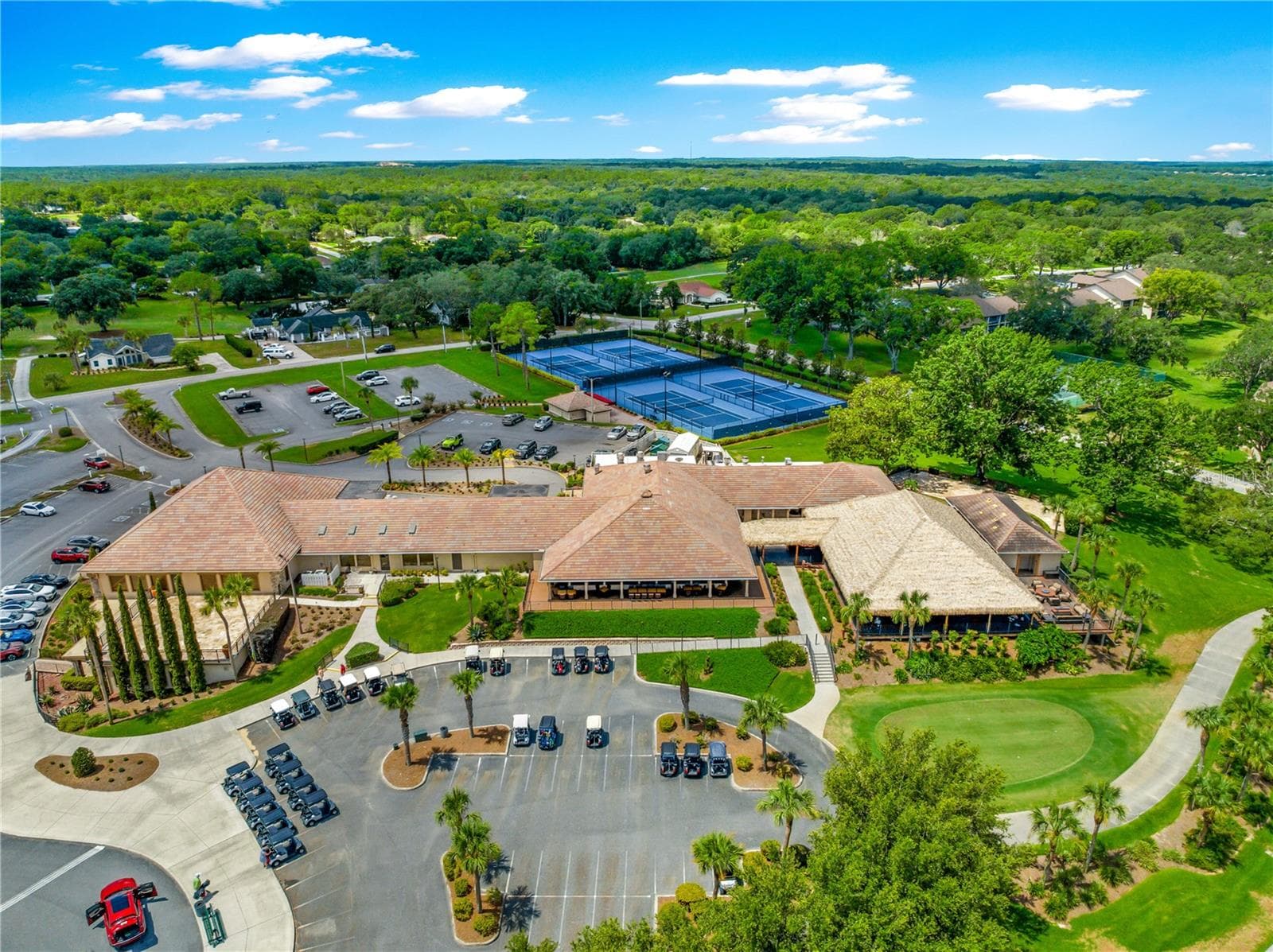 CITRUS HILLS COUNTRYCLUB - 804 E EPSOM CT, HERNANDO