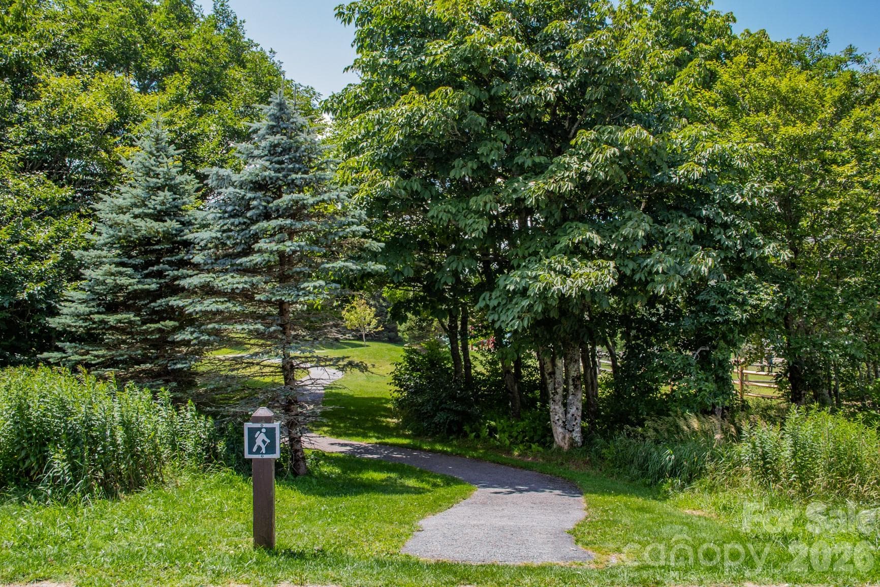 Path from Pinnacle Inn to the Beech Mountain Dog Park and Playground - Beech Mountain