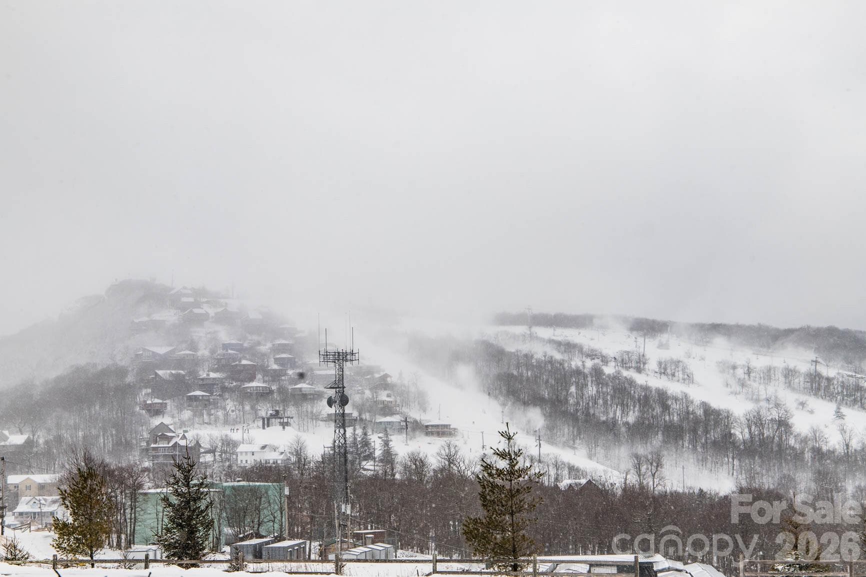 Ski Slopes - Winter View - Beech Mountain