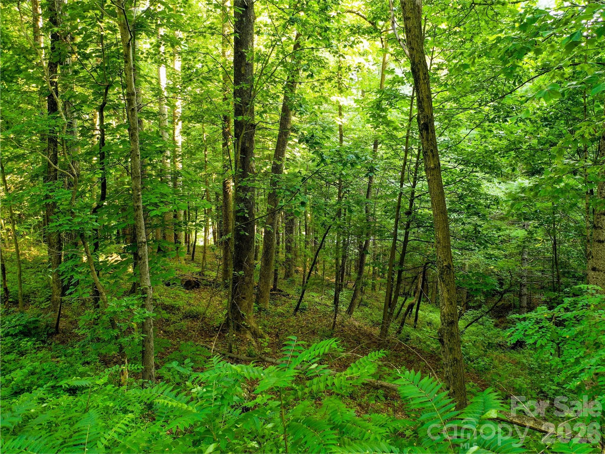 Lot at Lot 32 Freedom Trail Court, Zirconia, photo 9 of 17
