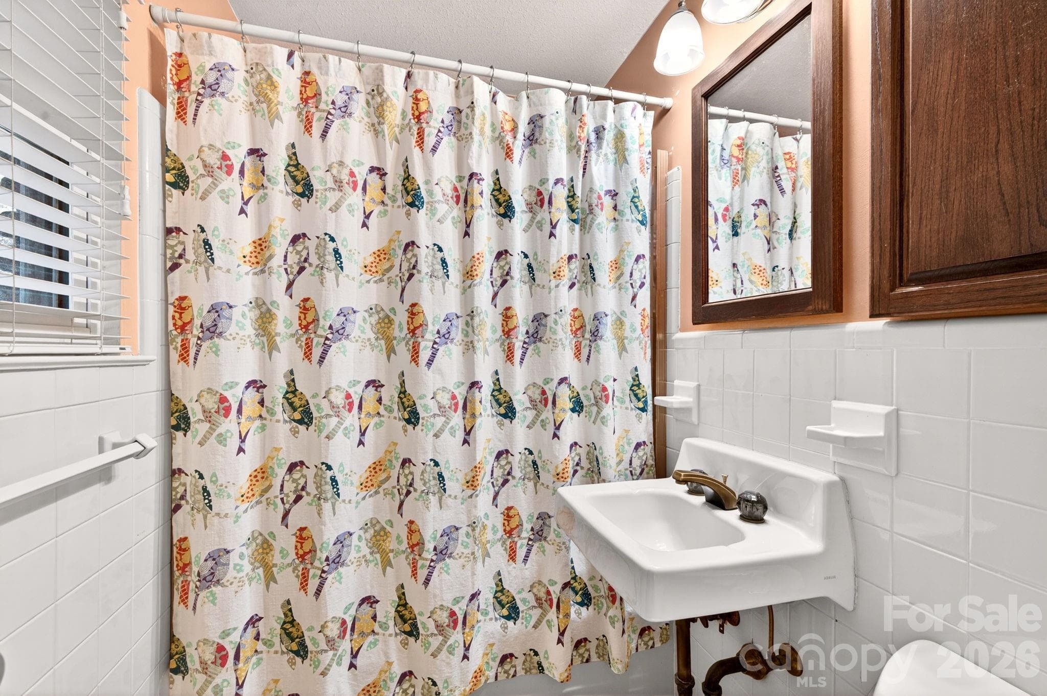 Primary bedroom ensuite bathroom - 25 Bevlyn Drive, Asheville