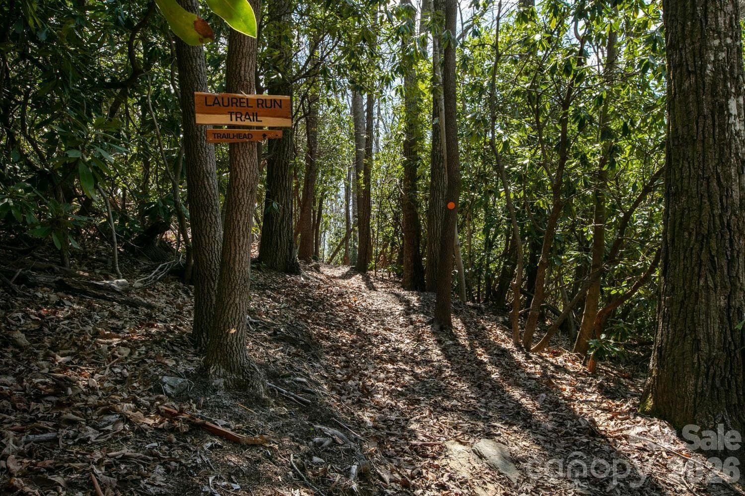 Trail - Fletcher