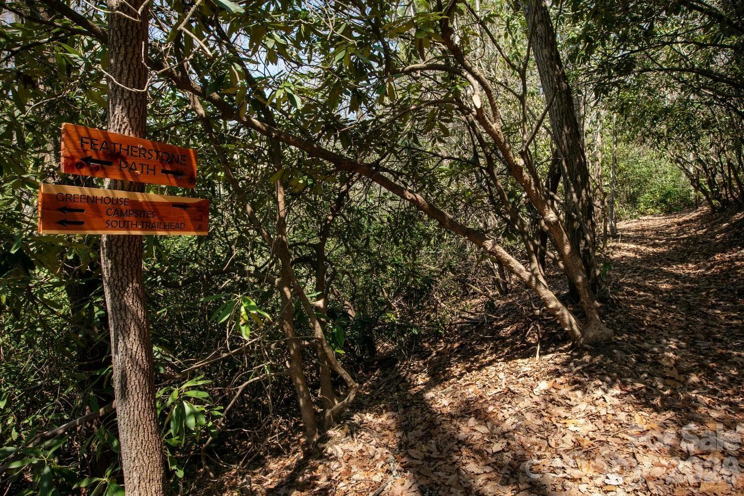 Trail - Fletcher