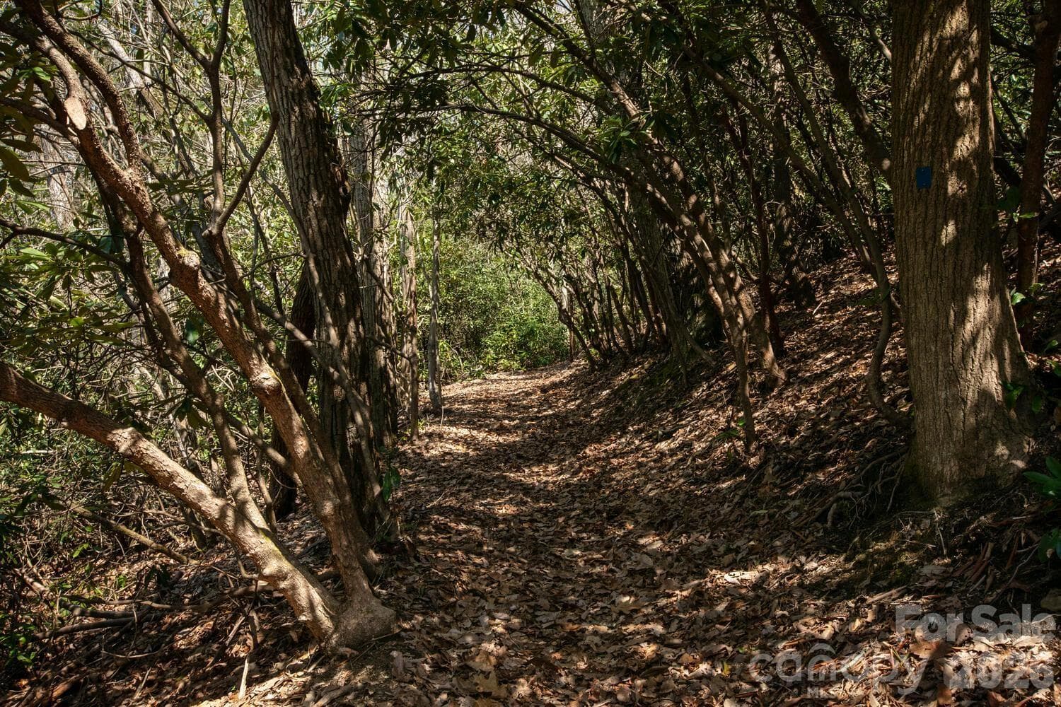 Trail - Fletcher
