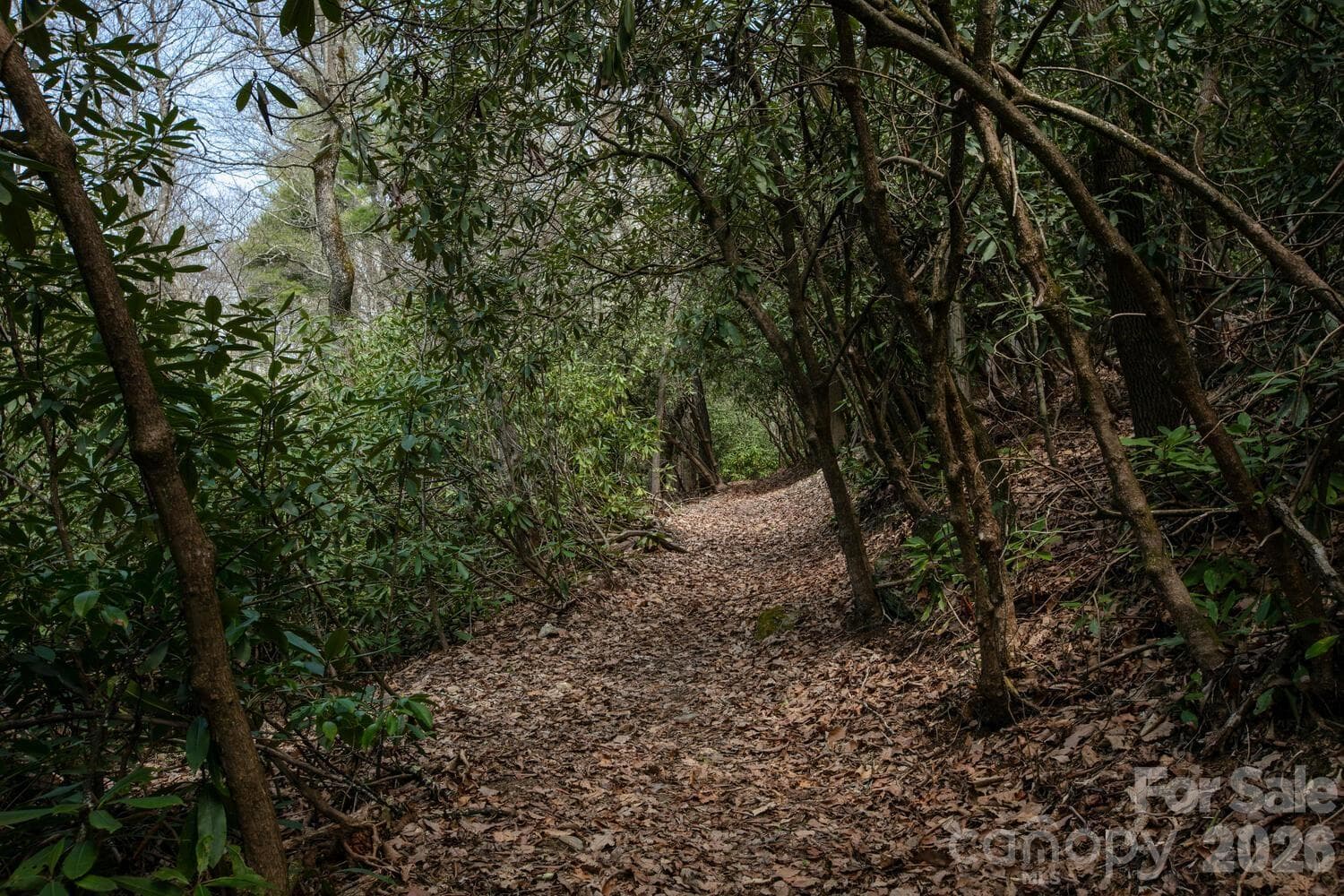Trail - Fletcher