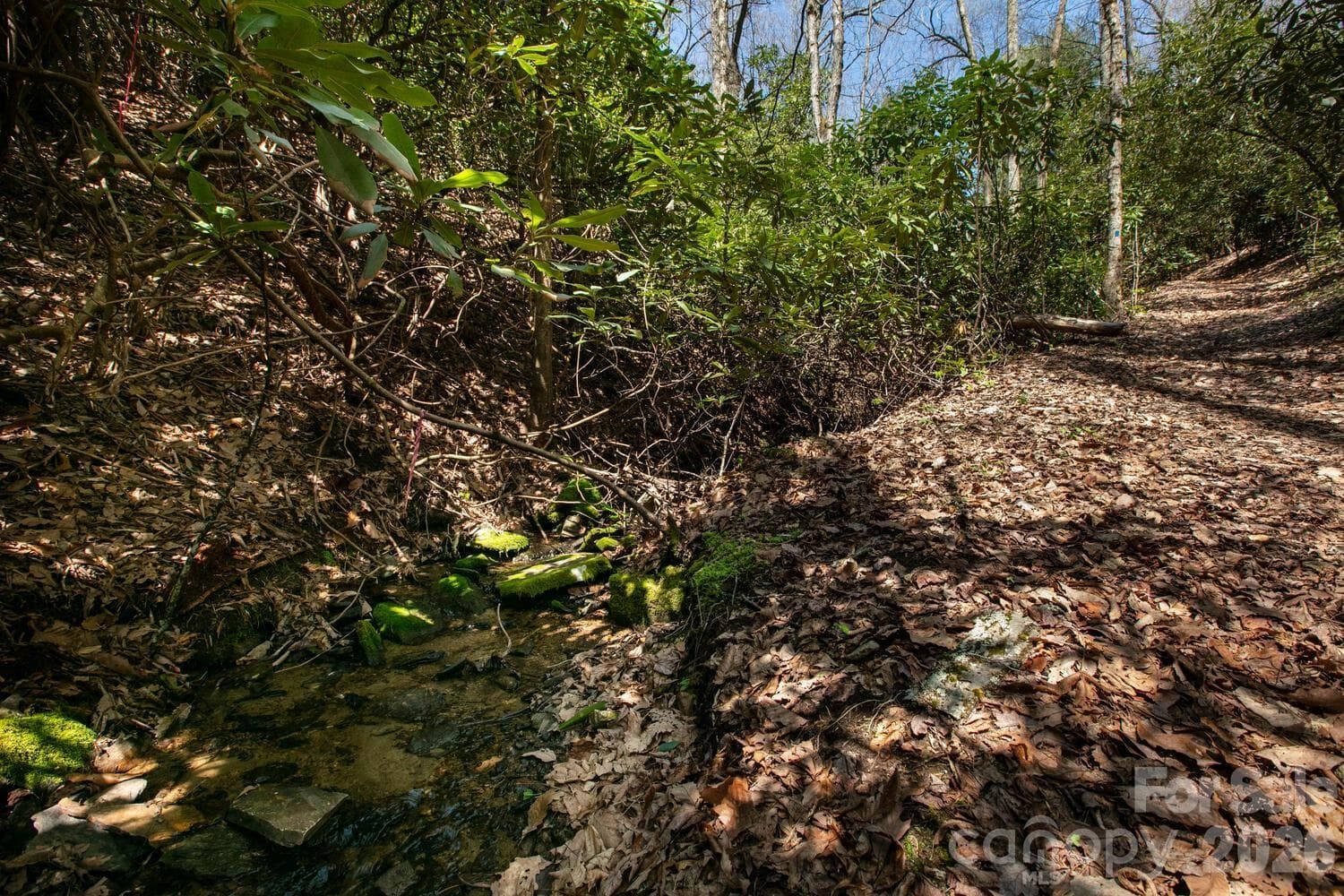 Trail - Fletcher