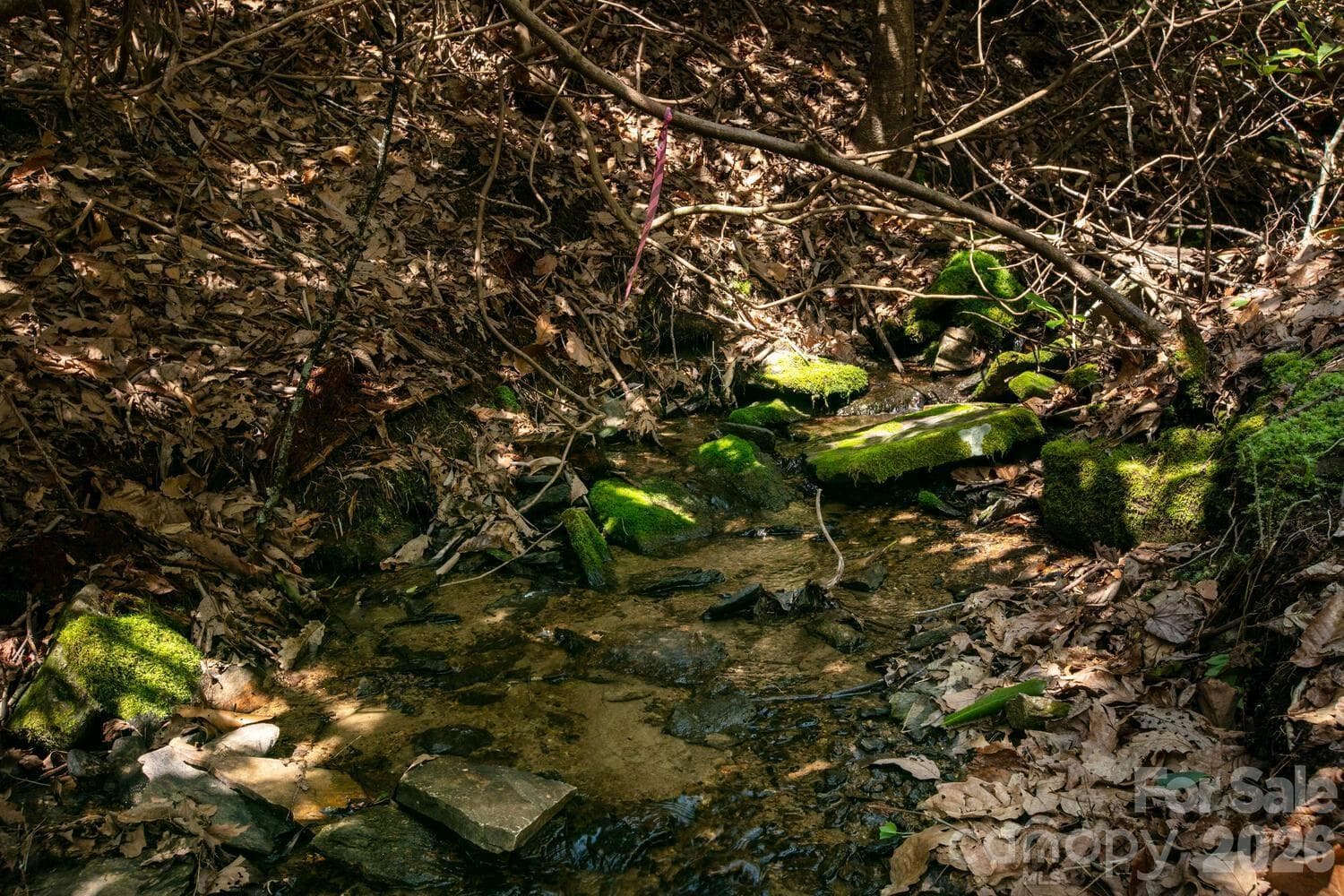 Creek - Fletcher